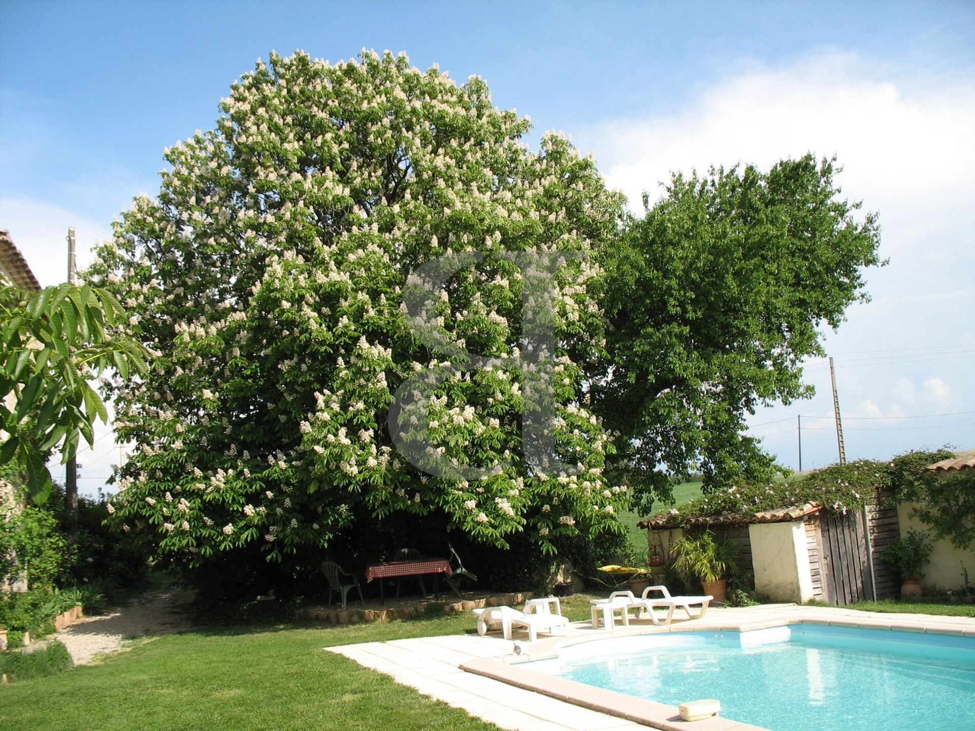 Huis in Montélimar, Auvergne-Rhône-Alpes 11395807