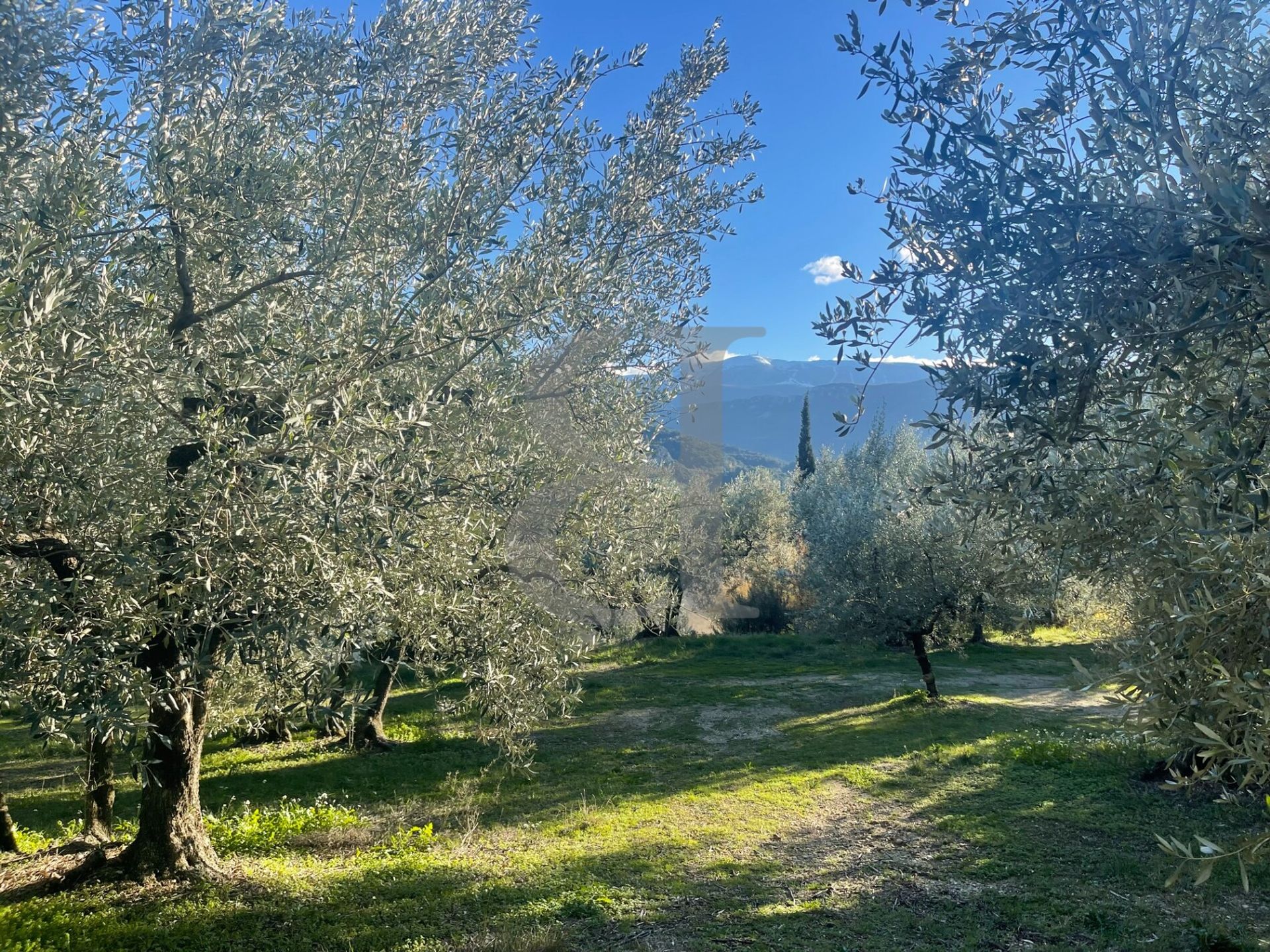 Talo sisään Buis-les-Baronnies, Auvergne-Rhône-Alpes 11395852