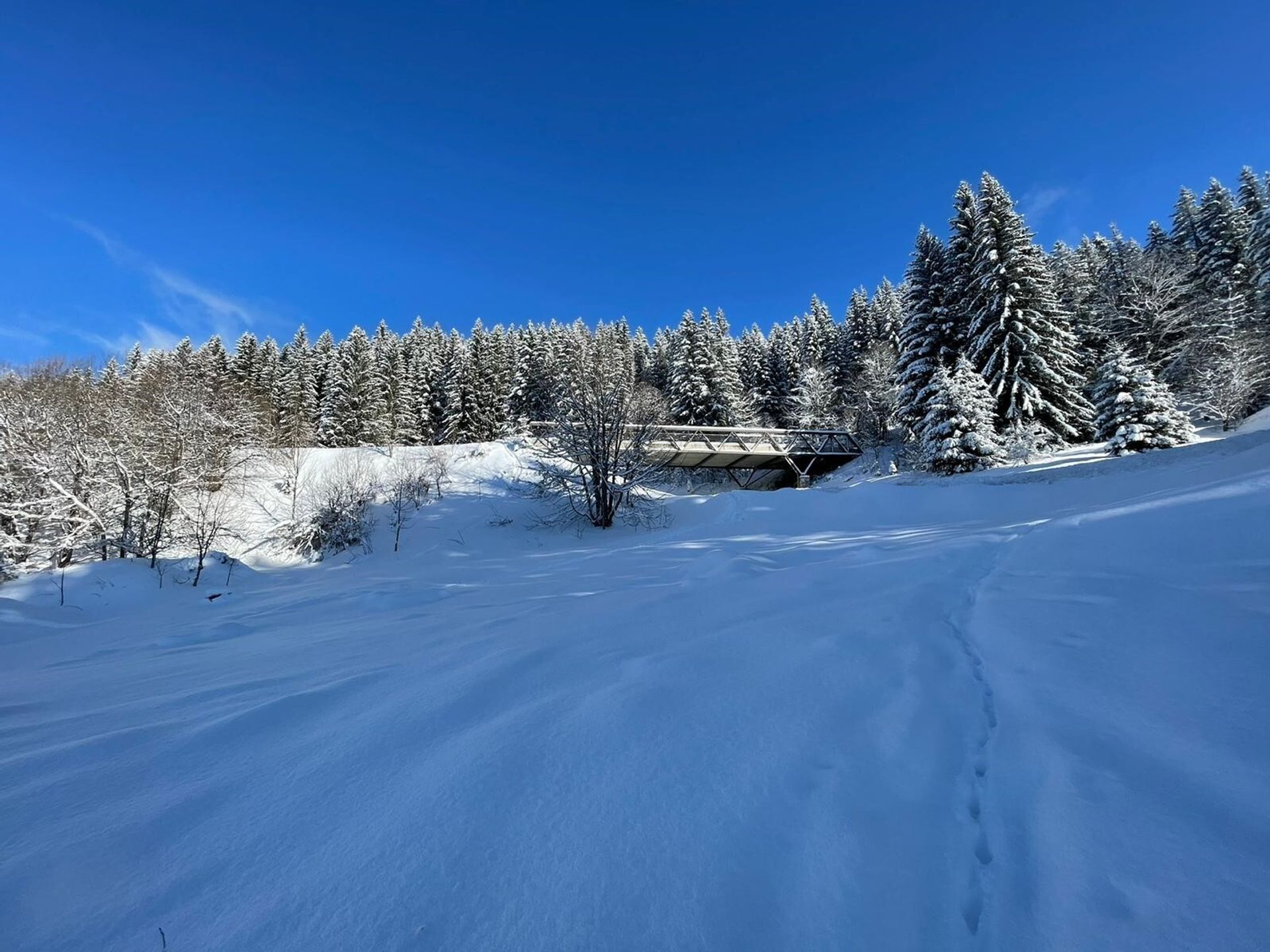 Condominium in Arâches-la-Frasse, Auvergne-Rhône-Alpes 11396075