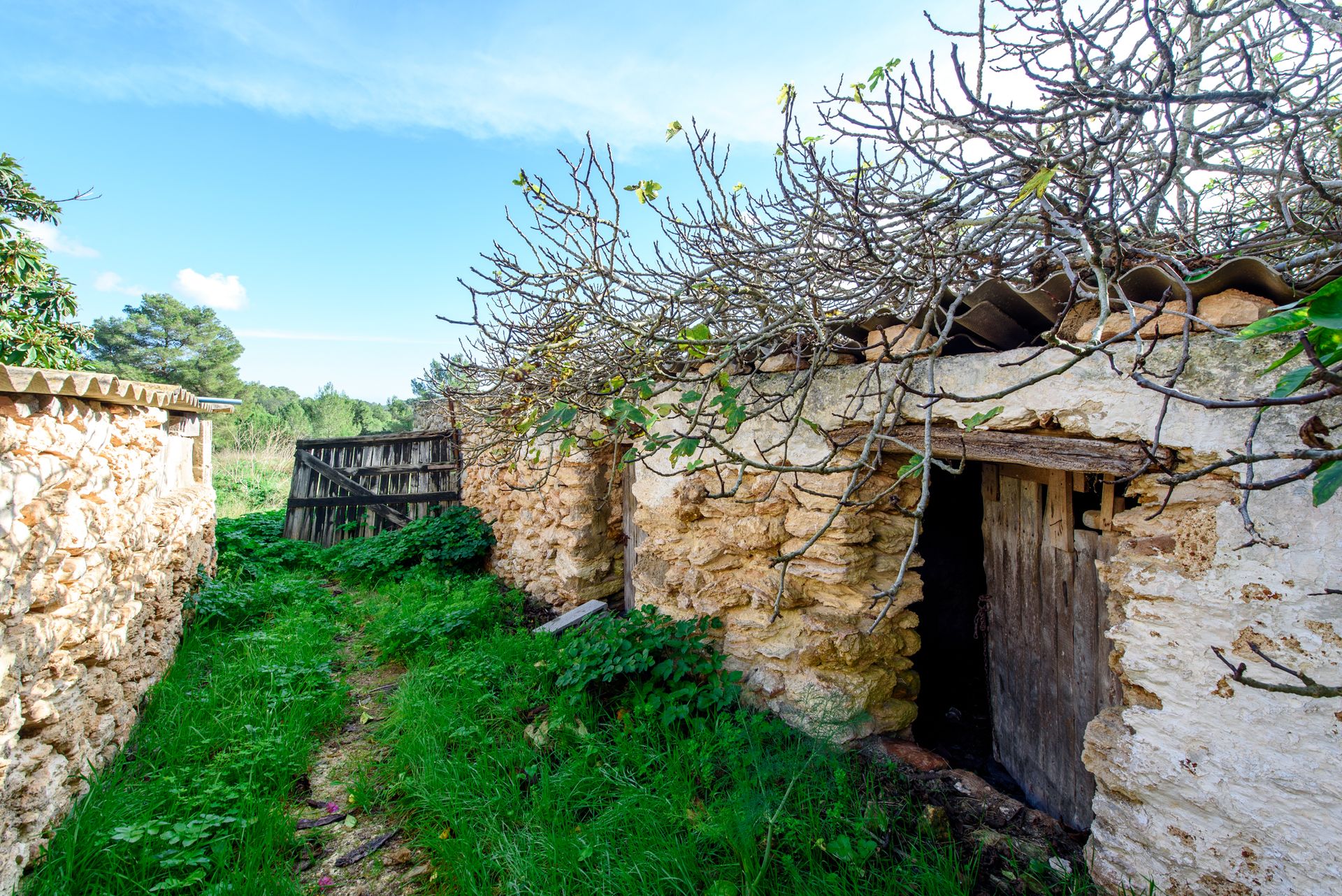 房子 在 Santa Gertrudis de Fruitera, Illes Balears 11396645