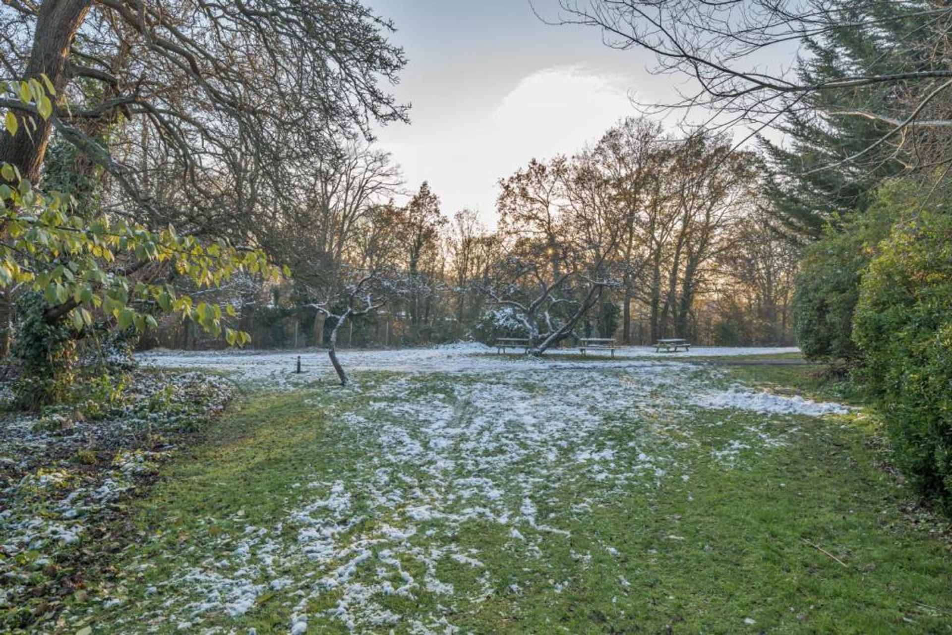 Συγκυριαρχία σε , England 11399911