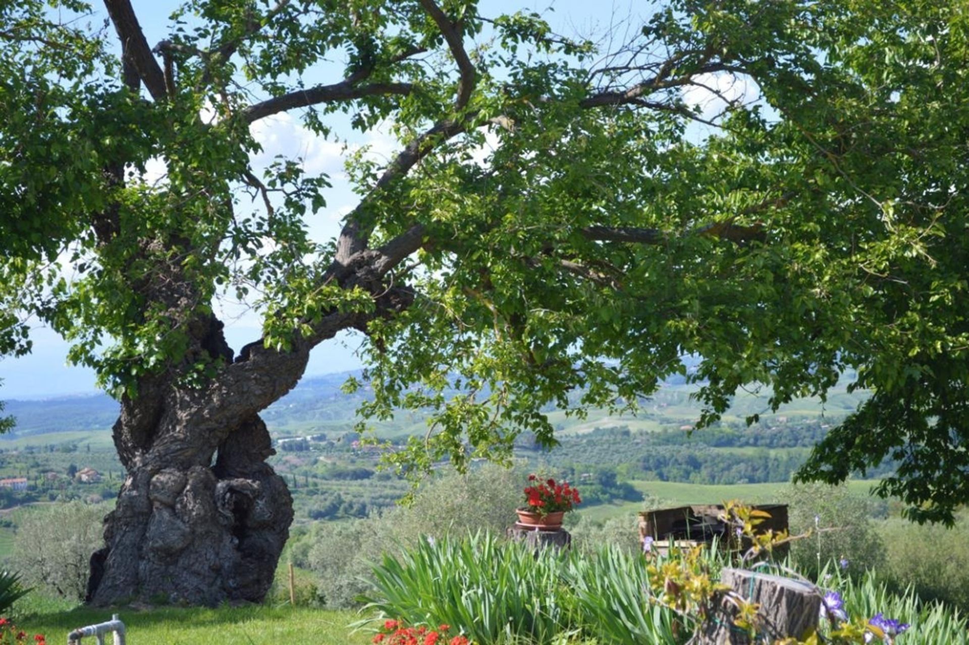 жилой дом в , Tuscany 11400812