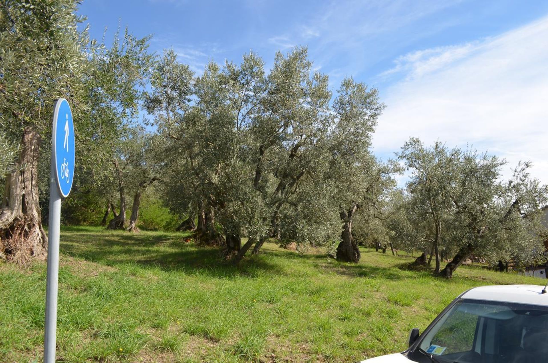 Borettslag i Montisi, Tuscany 11400830