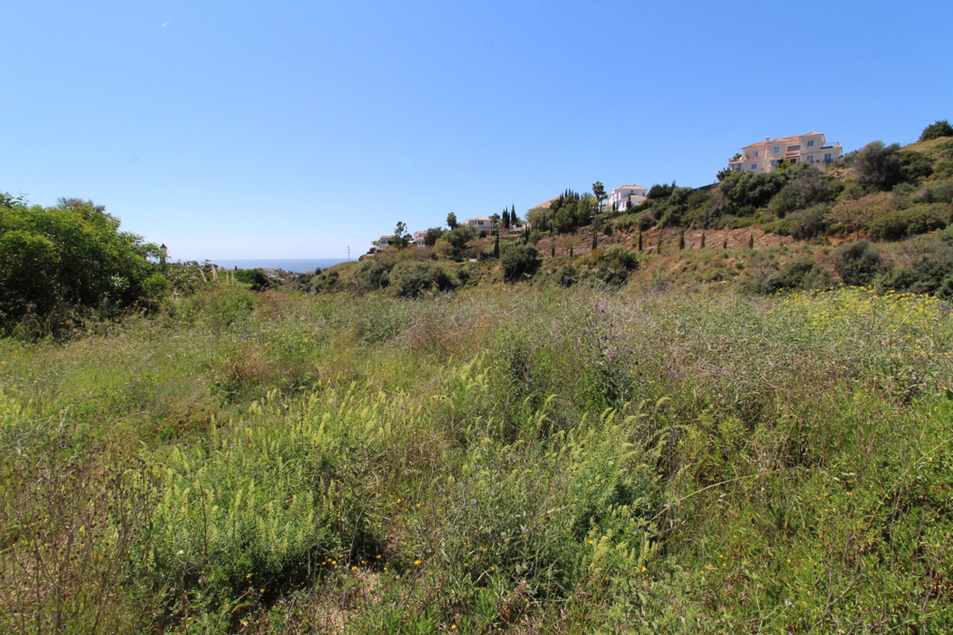 Terre dans , Canary Islands 11401822