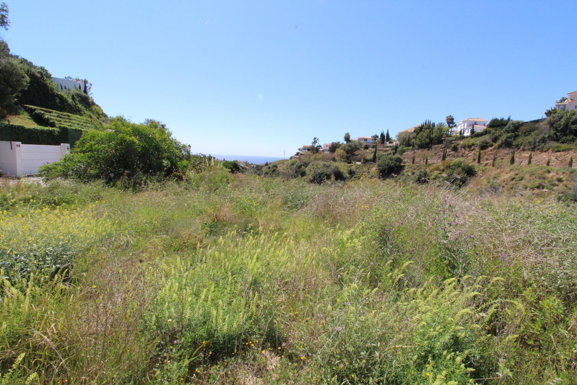 Terre dans Las Rosas, les îles Canaries 11401822