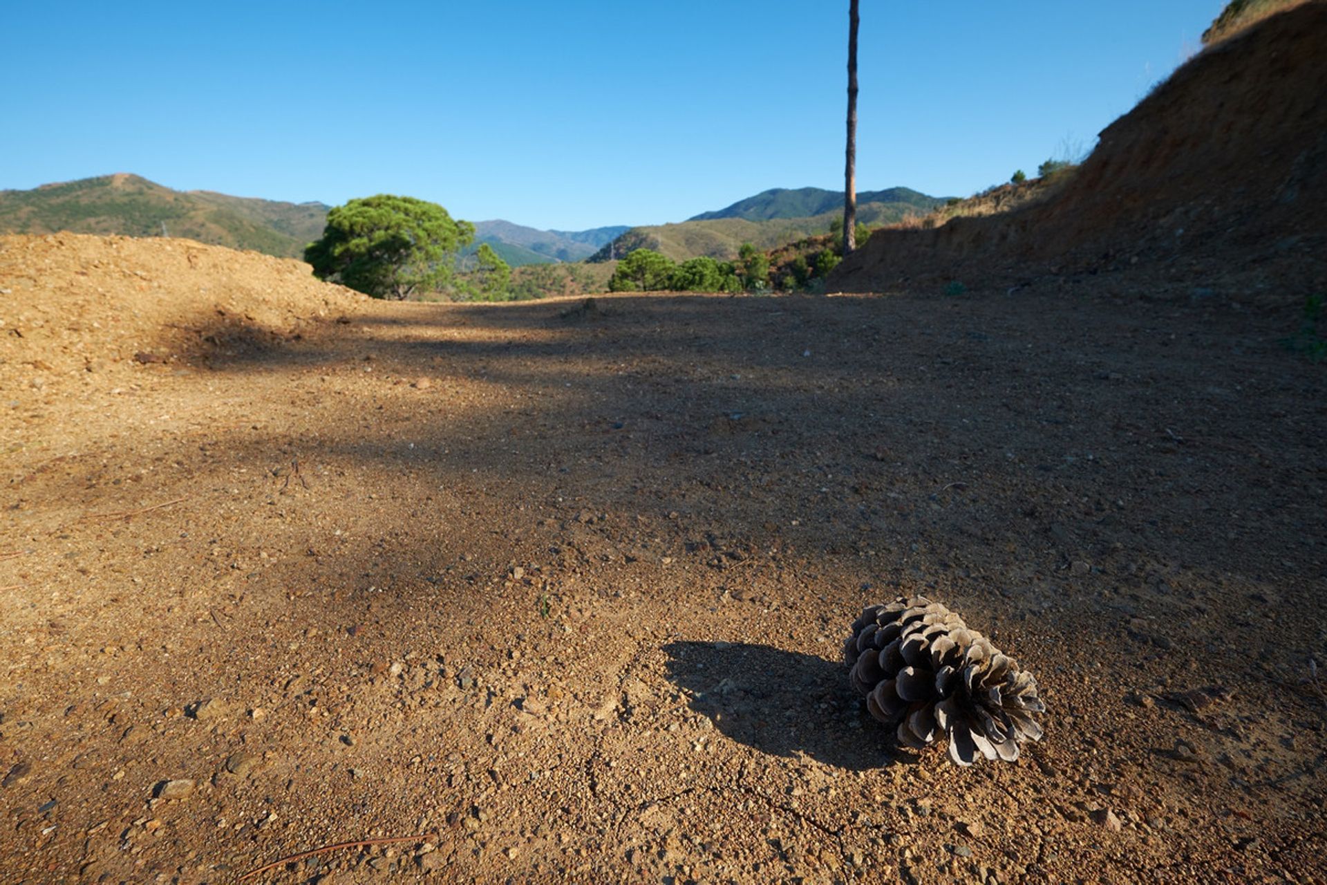 Tierra en Benahavís, Andalucía 11402195