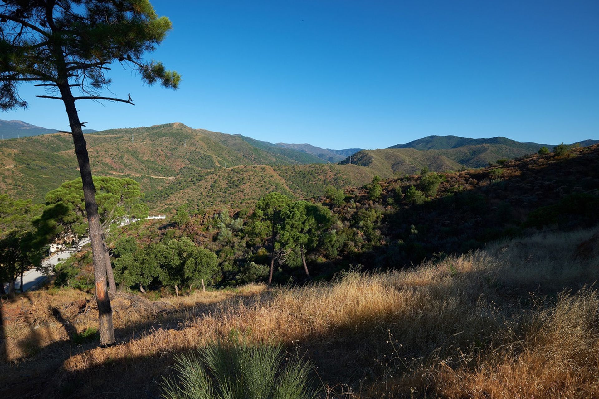 Tierra en Benahavís, Andalucía 11402195