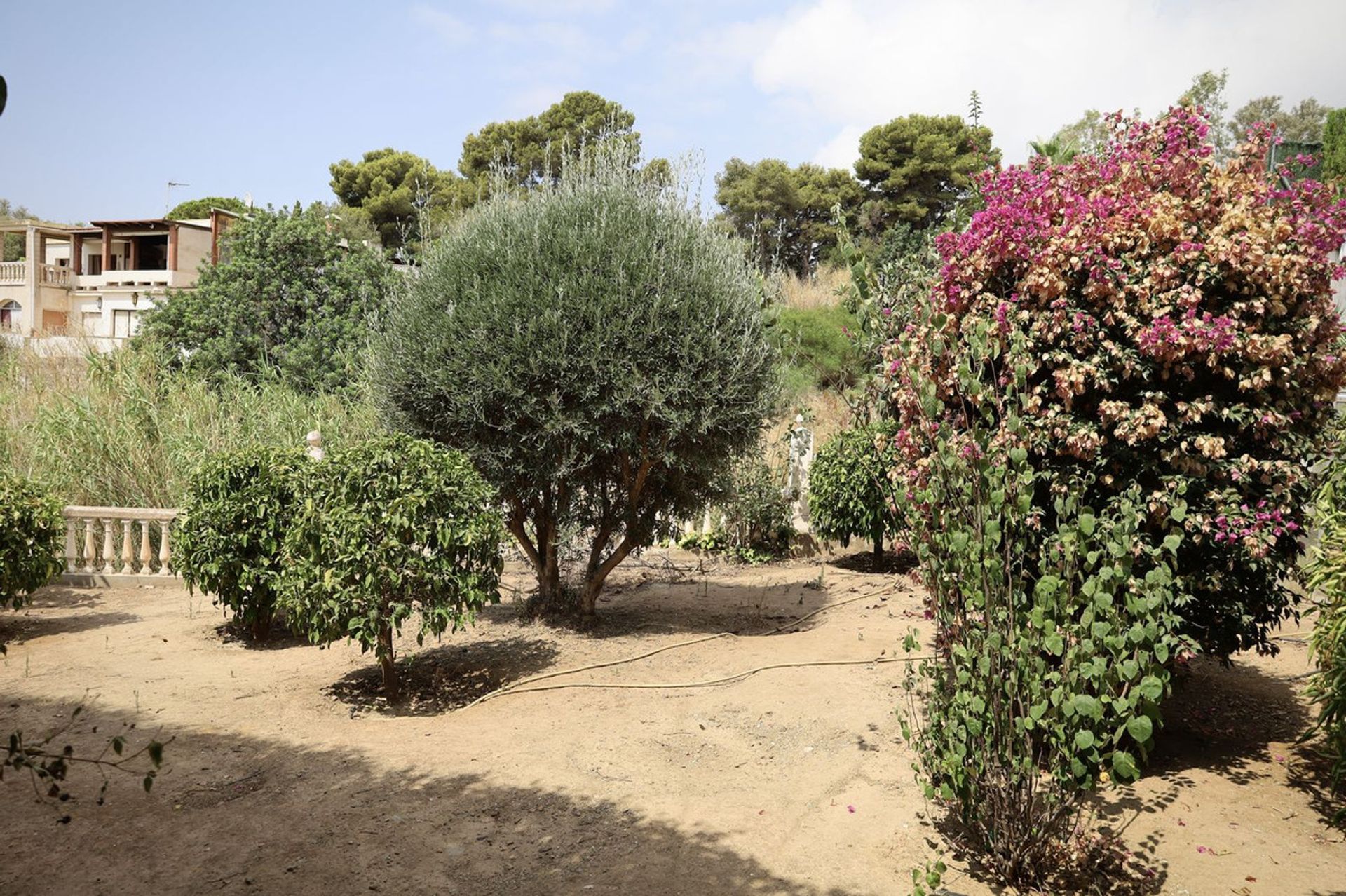 Talo sisään Benalmádena, Andalucía 11402376