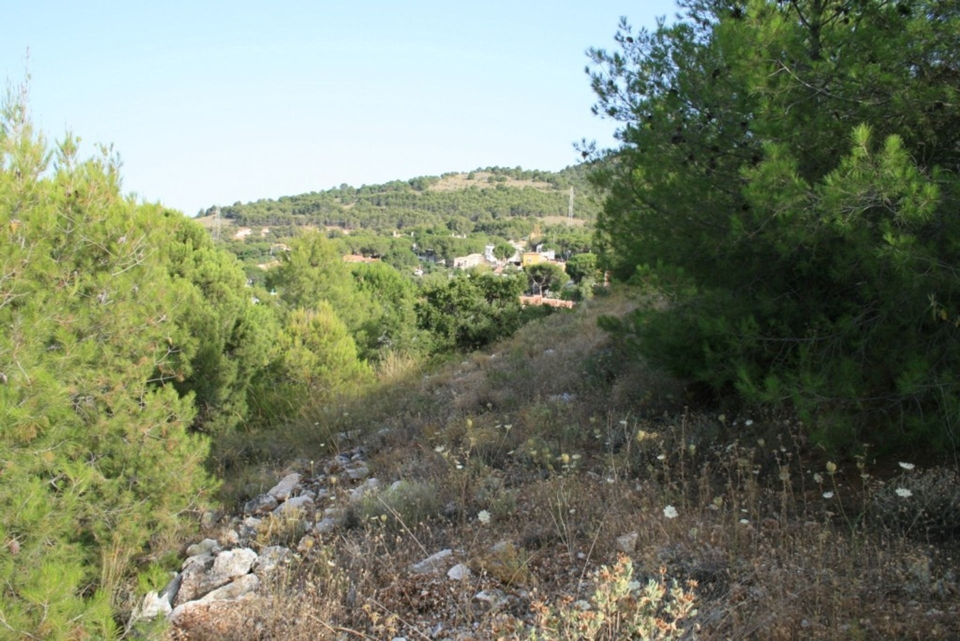 Land im Alhaurín de la Torre, Andalusia 11402403