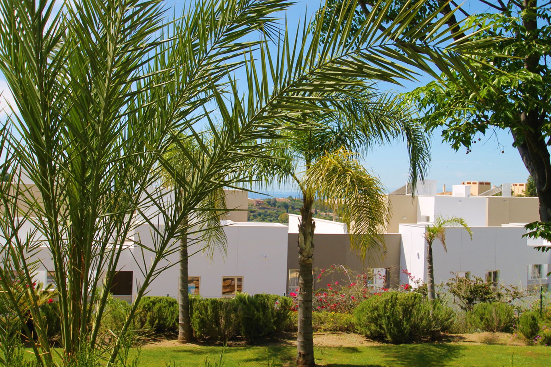 Condominium in Benahavís, Andalusia 11402535