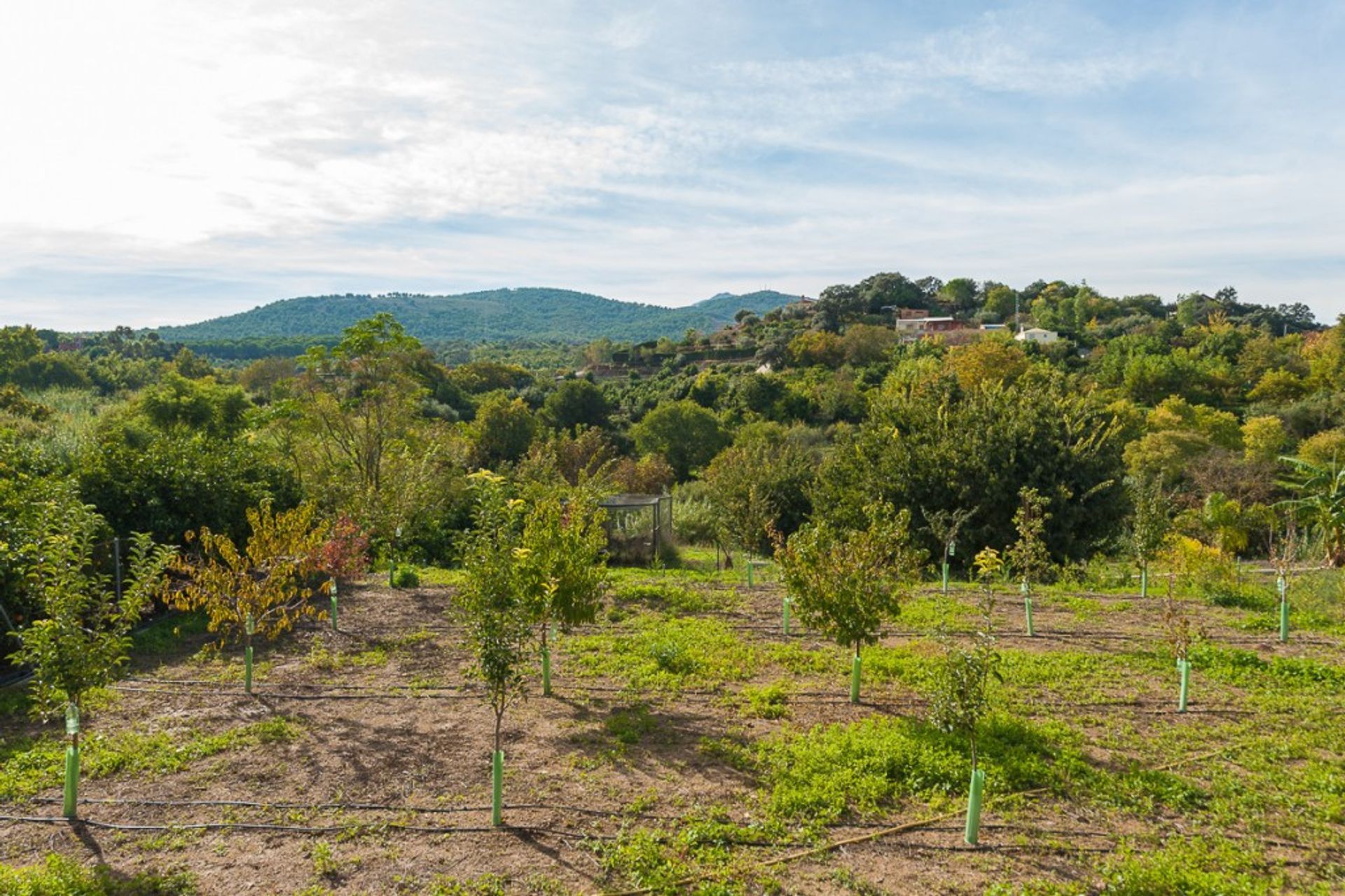 بيت في Coín, Andalusia 11403001