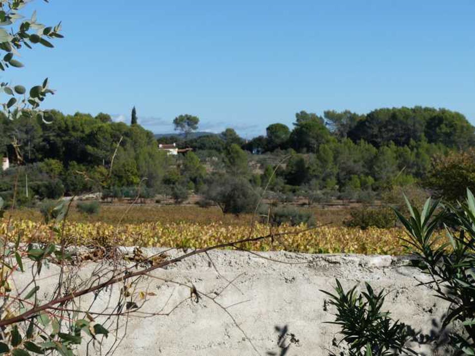 मकान में Lorgues, Provence-Alpes-Côte d'Azur 11404168