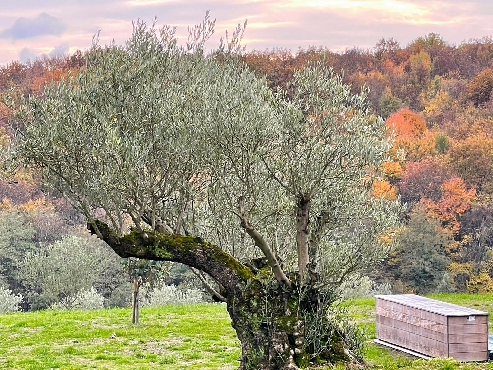 Rumah di Marciac, Occitanie 11404191