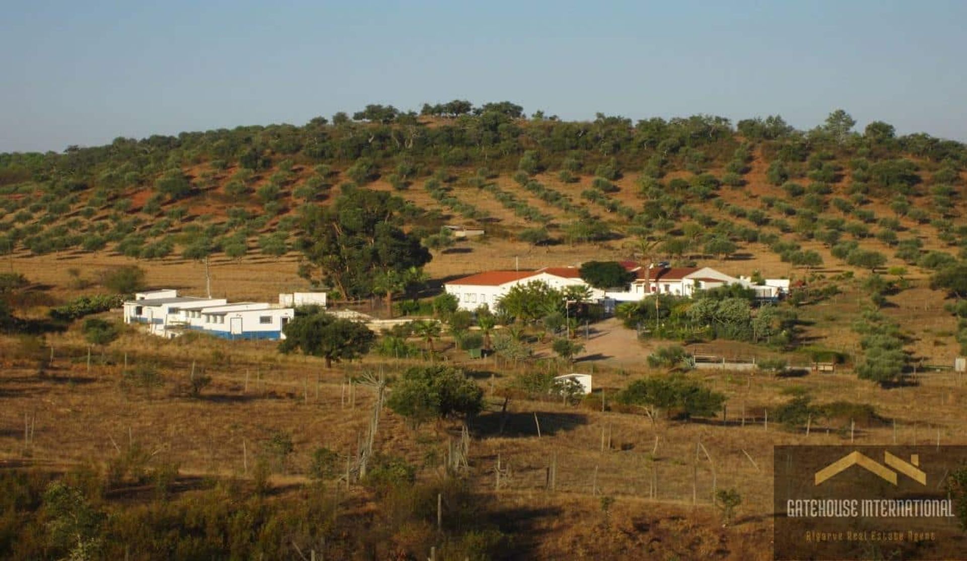 loger dans Moura, Béja 11404526