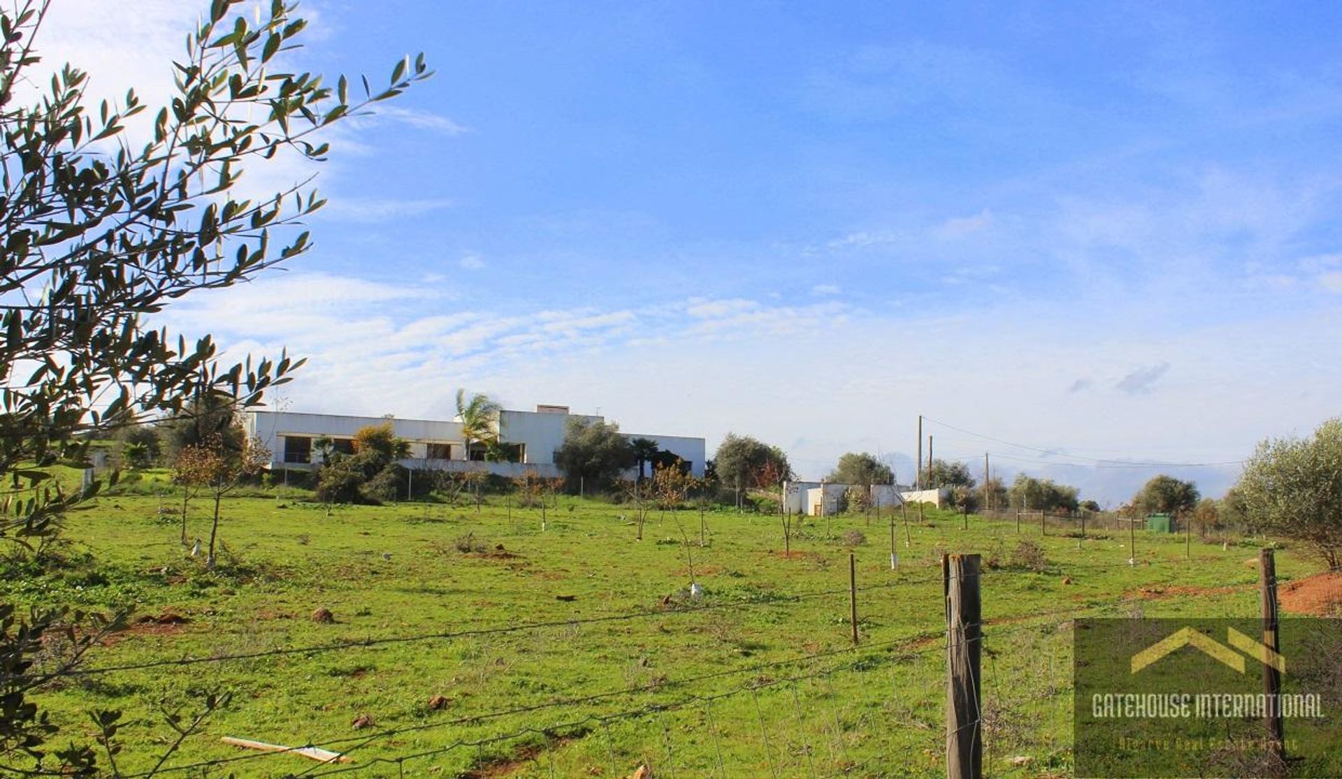 Land in Moura, Beja 11404530