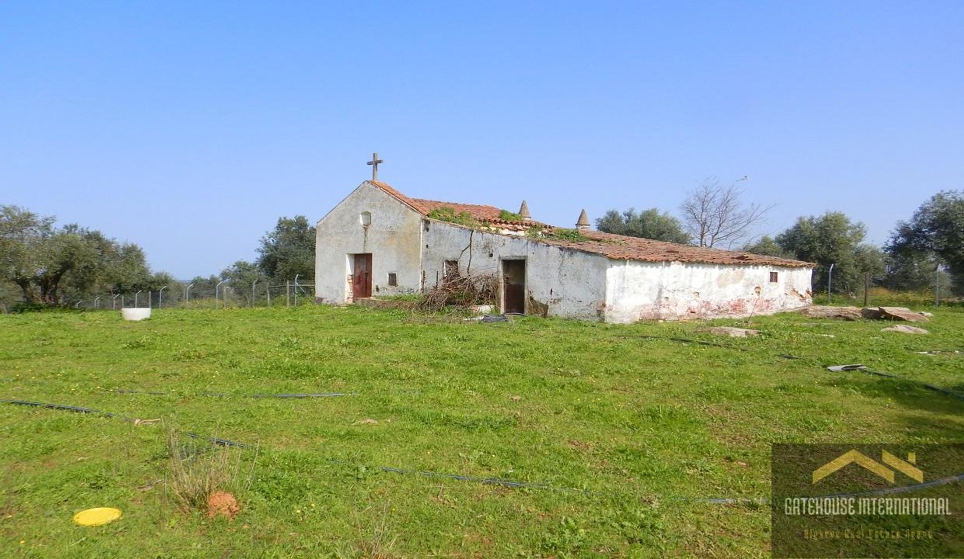 Tierra en mora, Beja 11404530