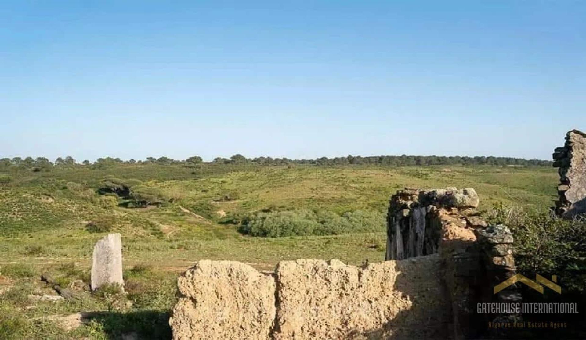 Tierra en raposeira, Faraón 11404598