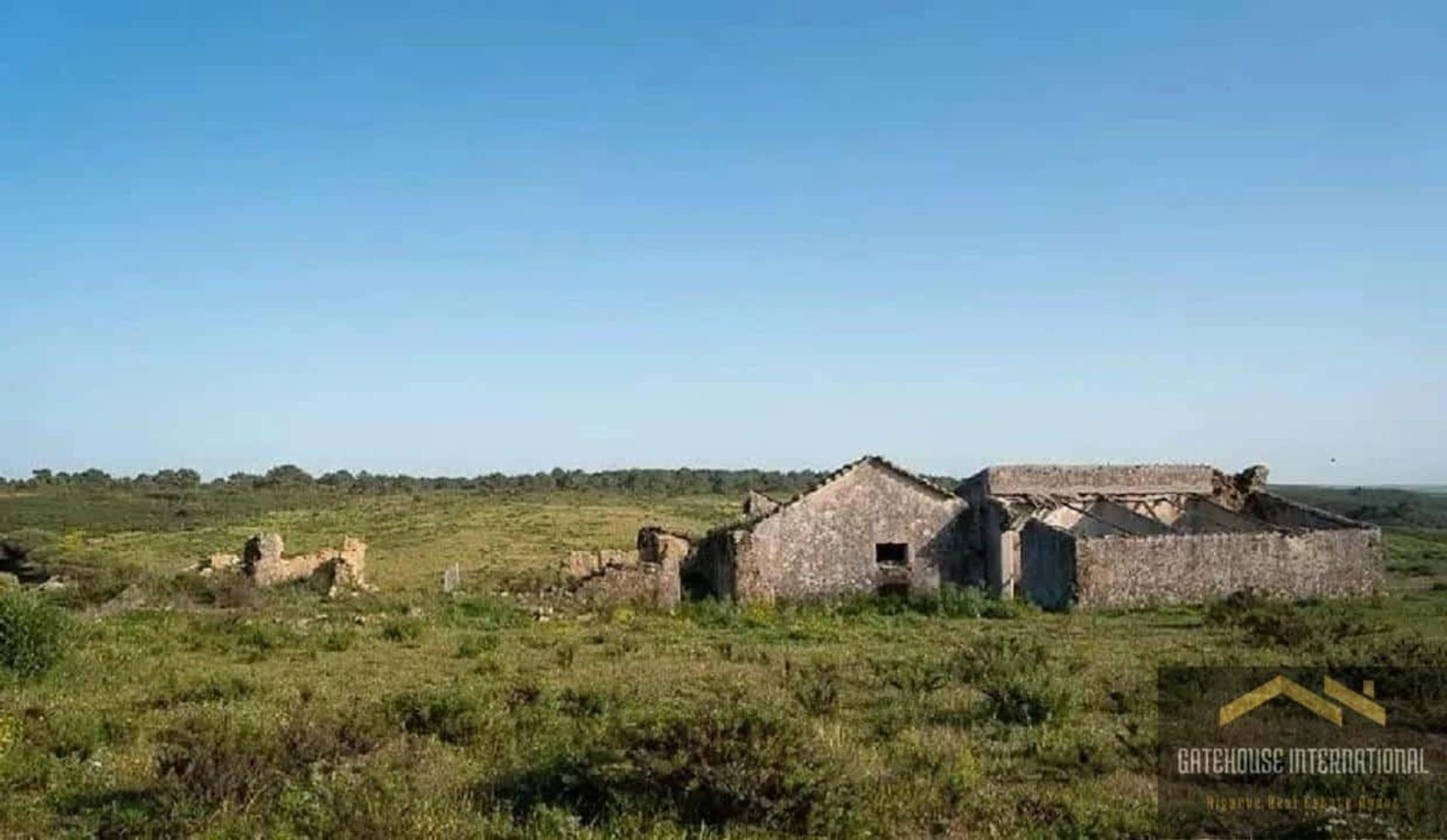 Tierra en raposeira, Faraón 11404598