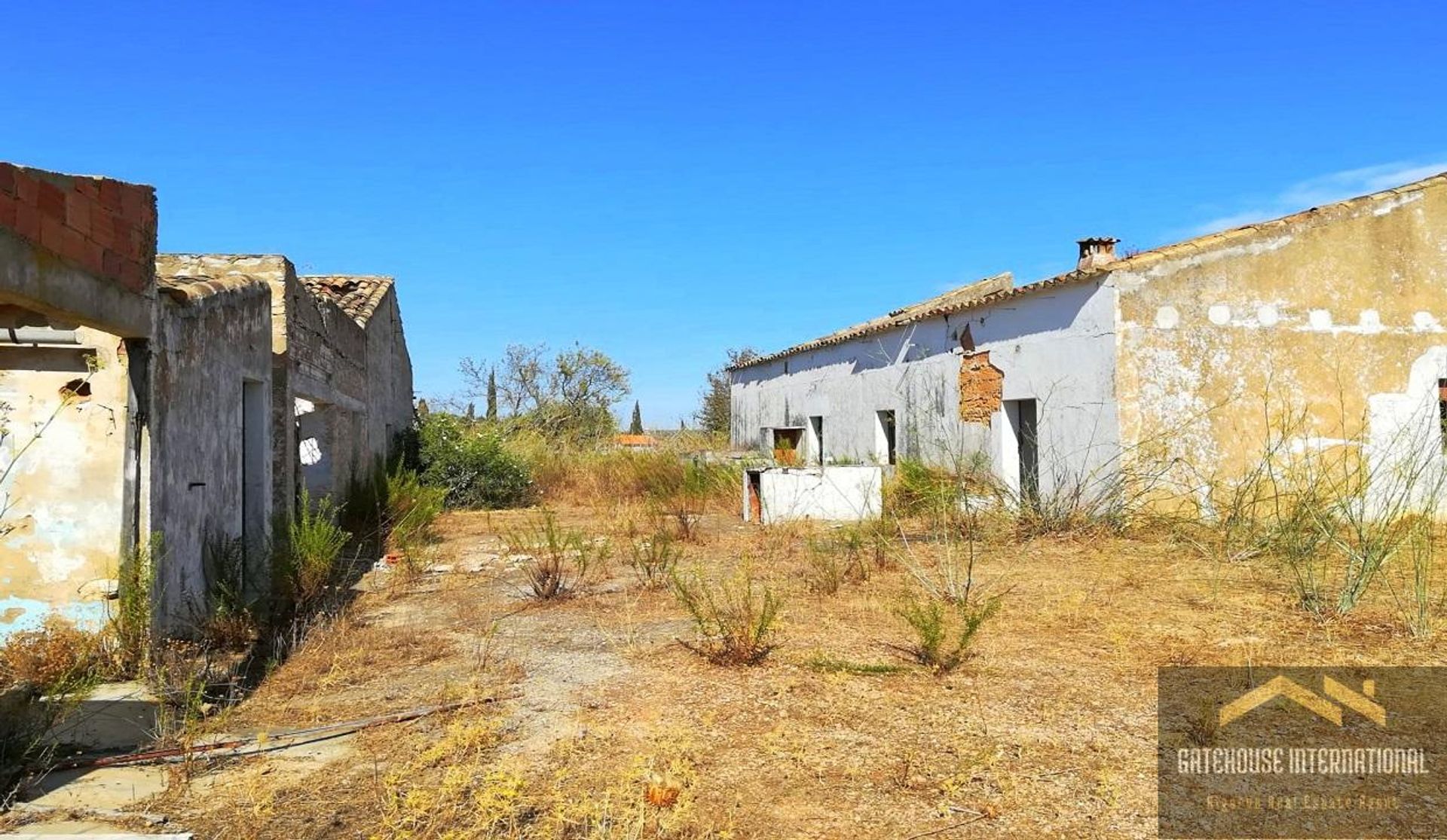 Wylądować w Fonte de Boliqueime, Faraon 11404616