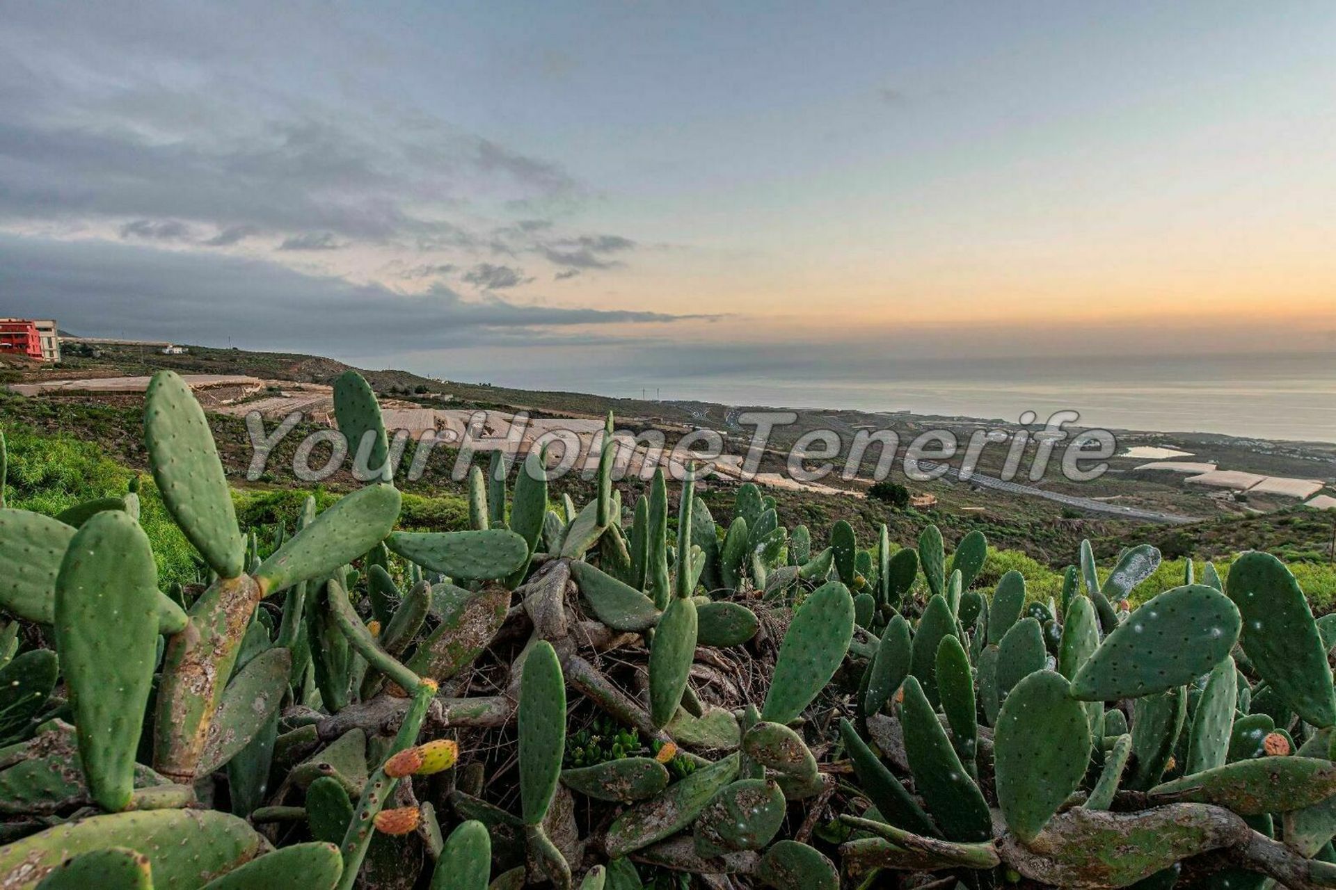 عمارات في Guía de Isora, Canary Islands 11405282