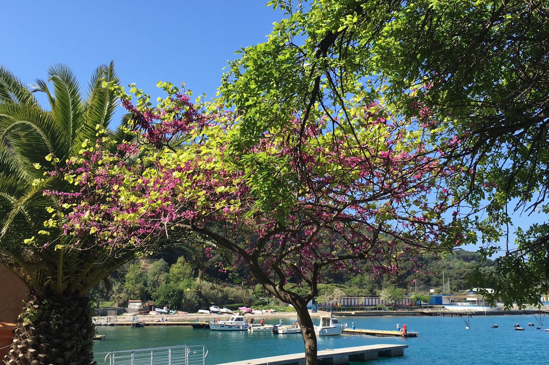 בַּיִת ב Portovenere, Liguria 11405419