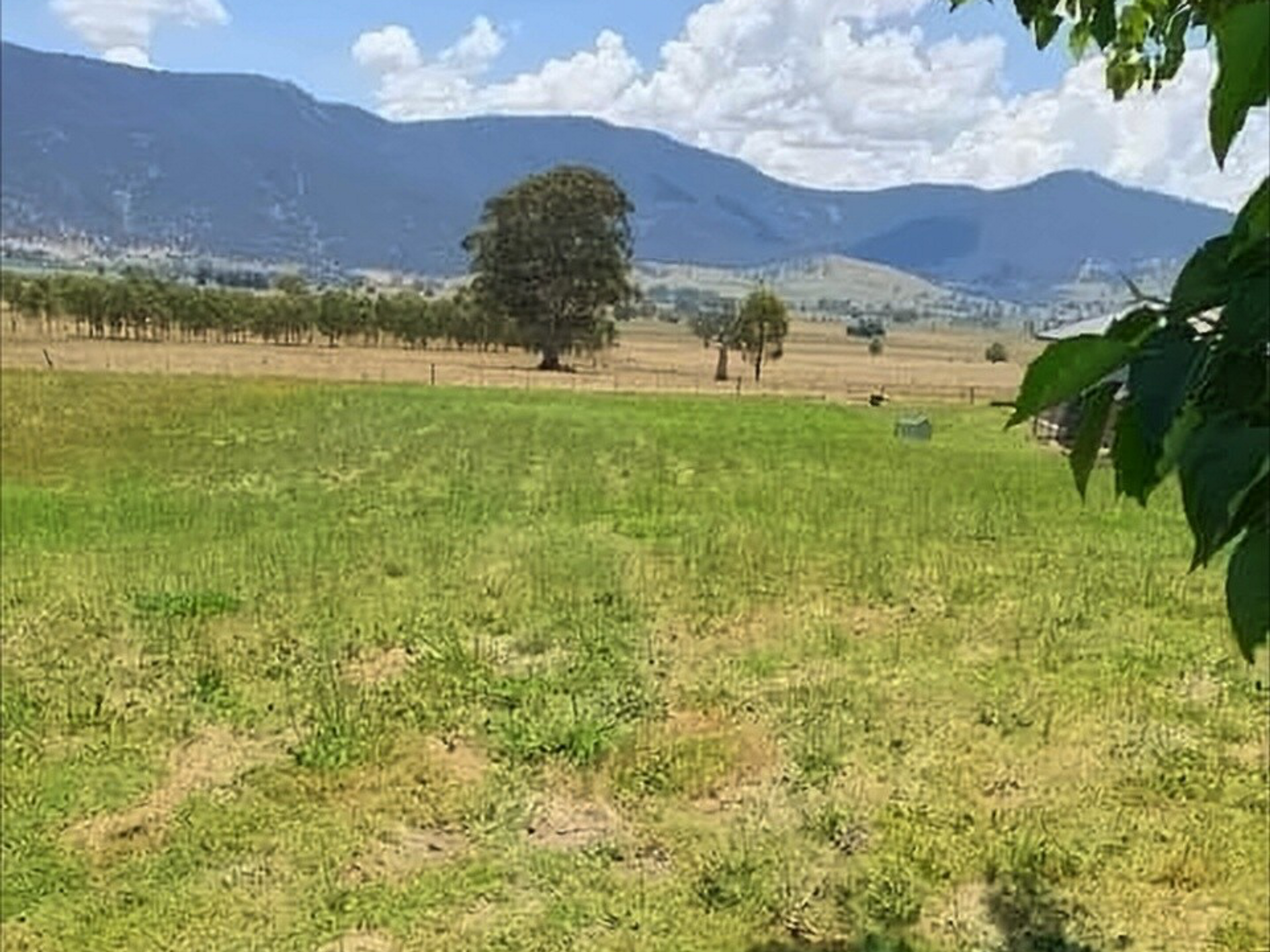 土地 在 Corryong, 維多利亞 11405581