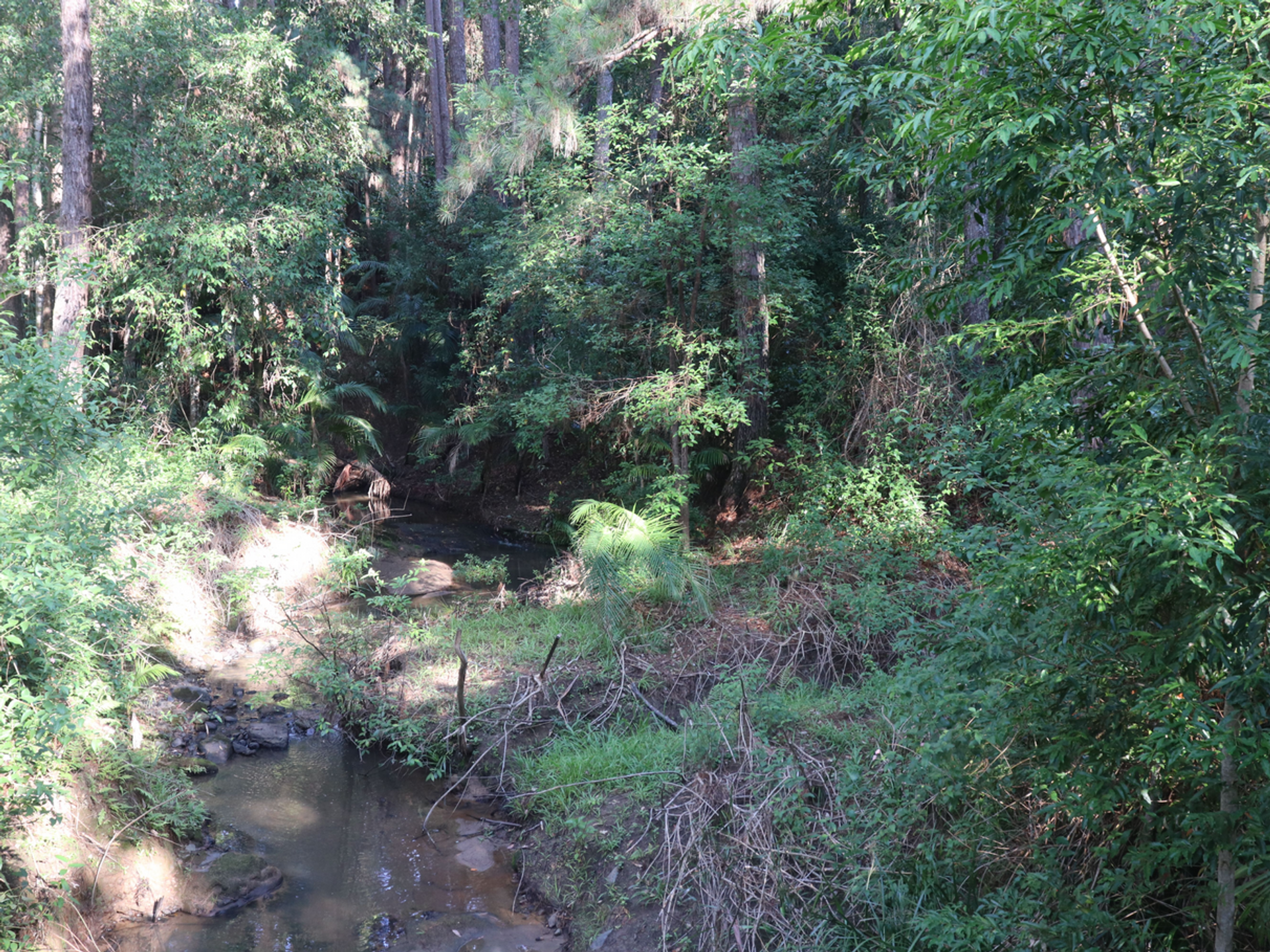 casa en Bald Knob, Queensland 11405612