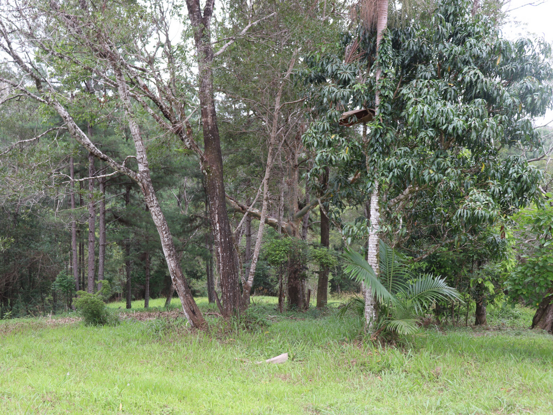 casa en Bald Knob, Queensland 11405612