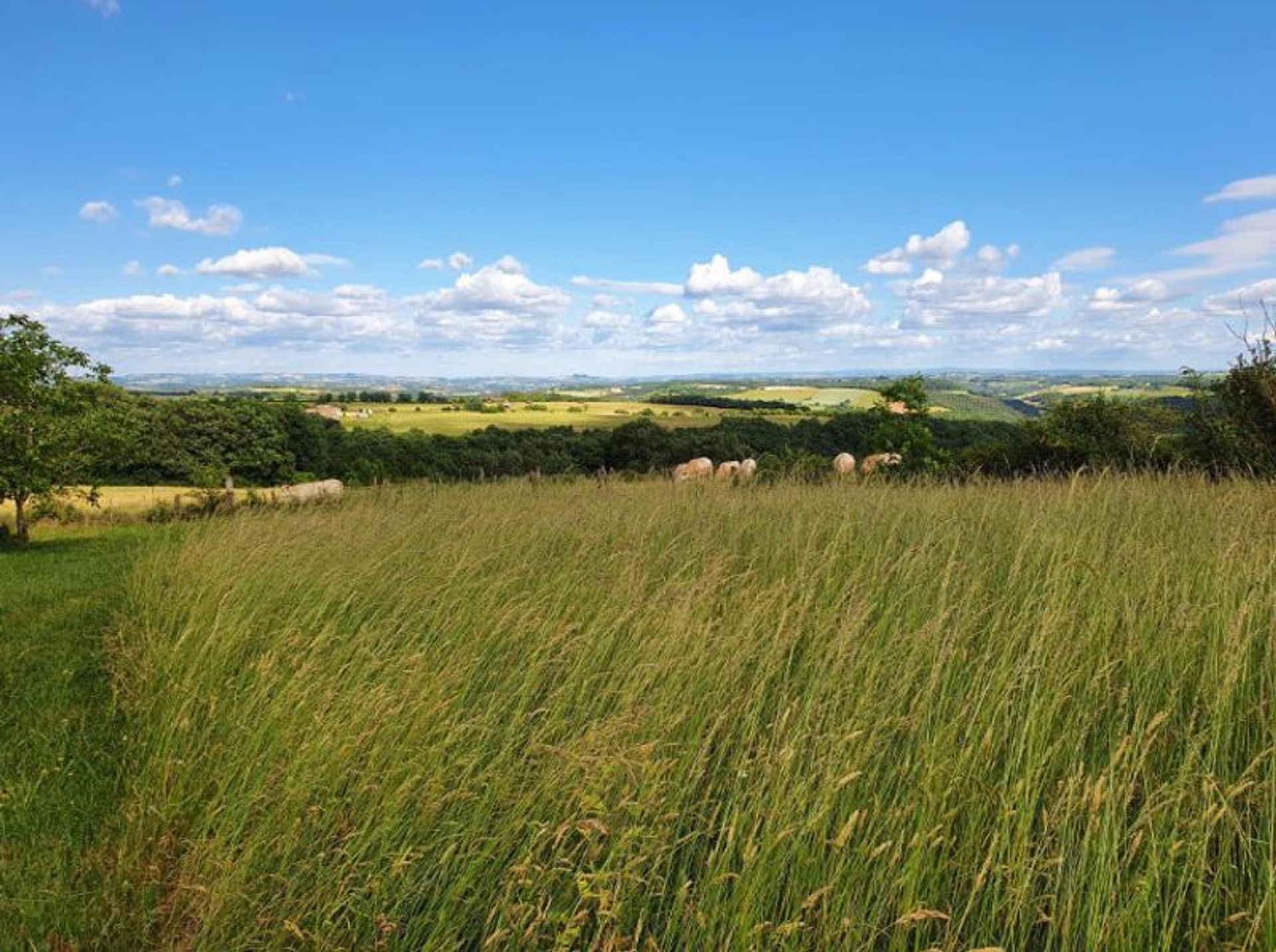 Будинок в Cordes-sur-Ciel, Occitanie 11405614