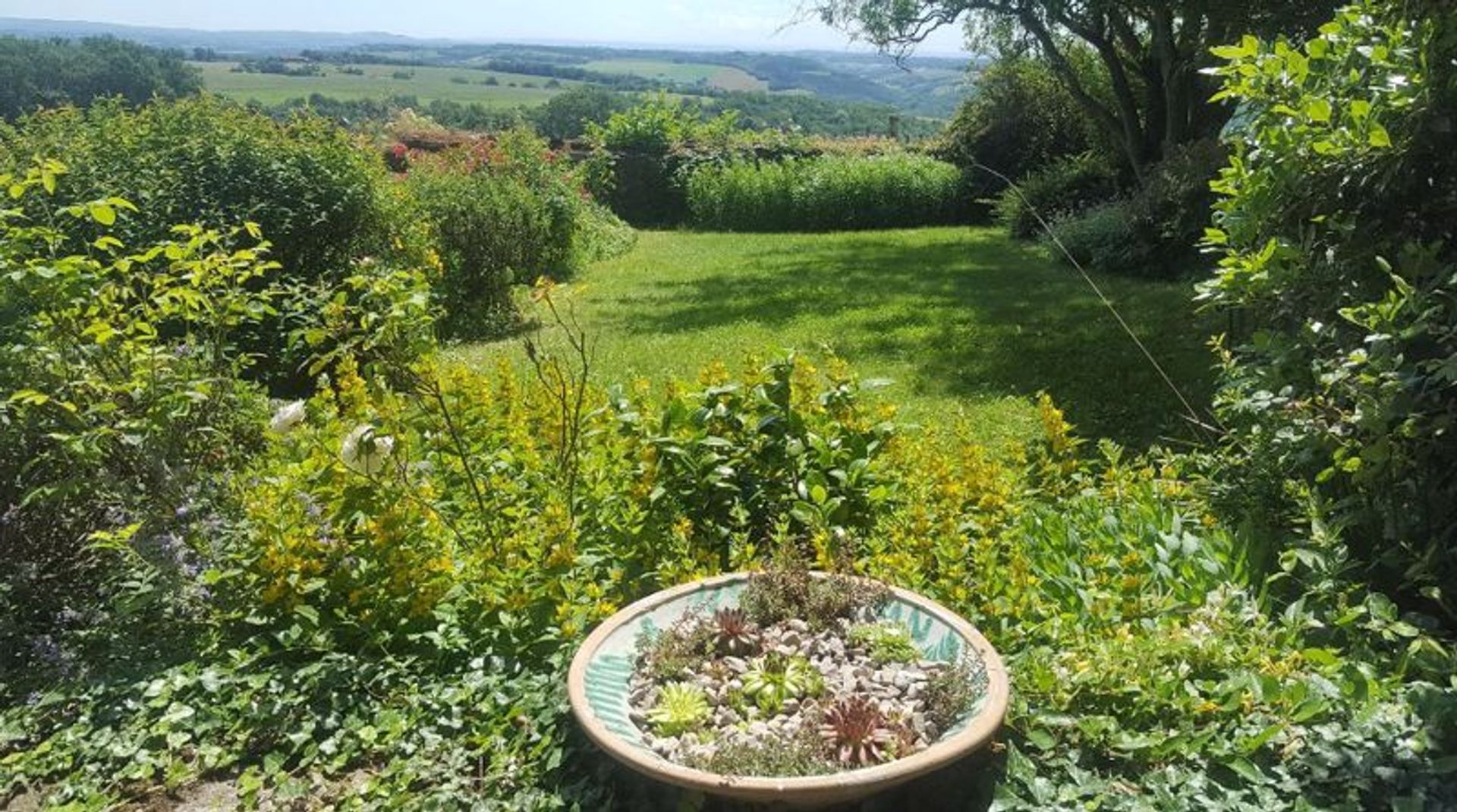 House in Cordes-sur-Ciel, Occitanie 11405614