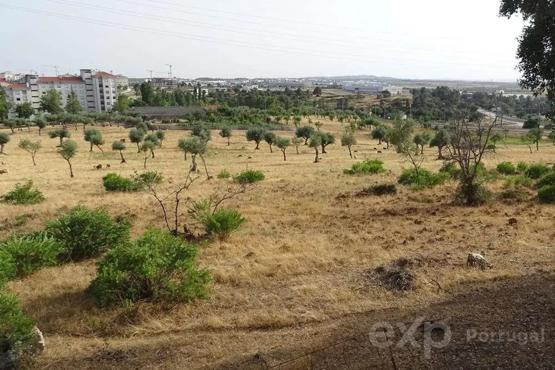 Land in Castelo Branco, Travessa da Granja 11407893