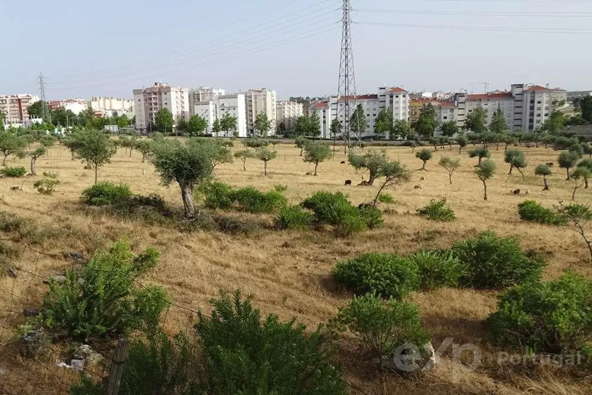 Land im Castelo Branco, Travessa da Granja 11407893