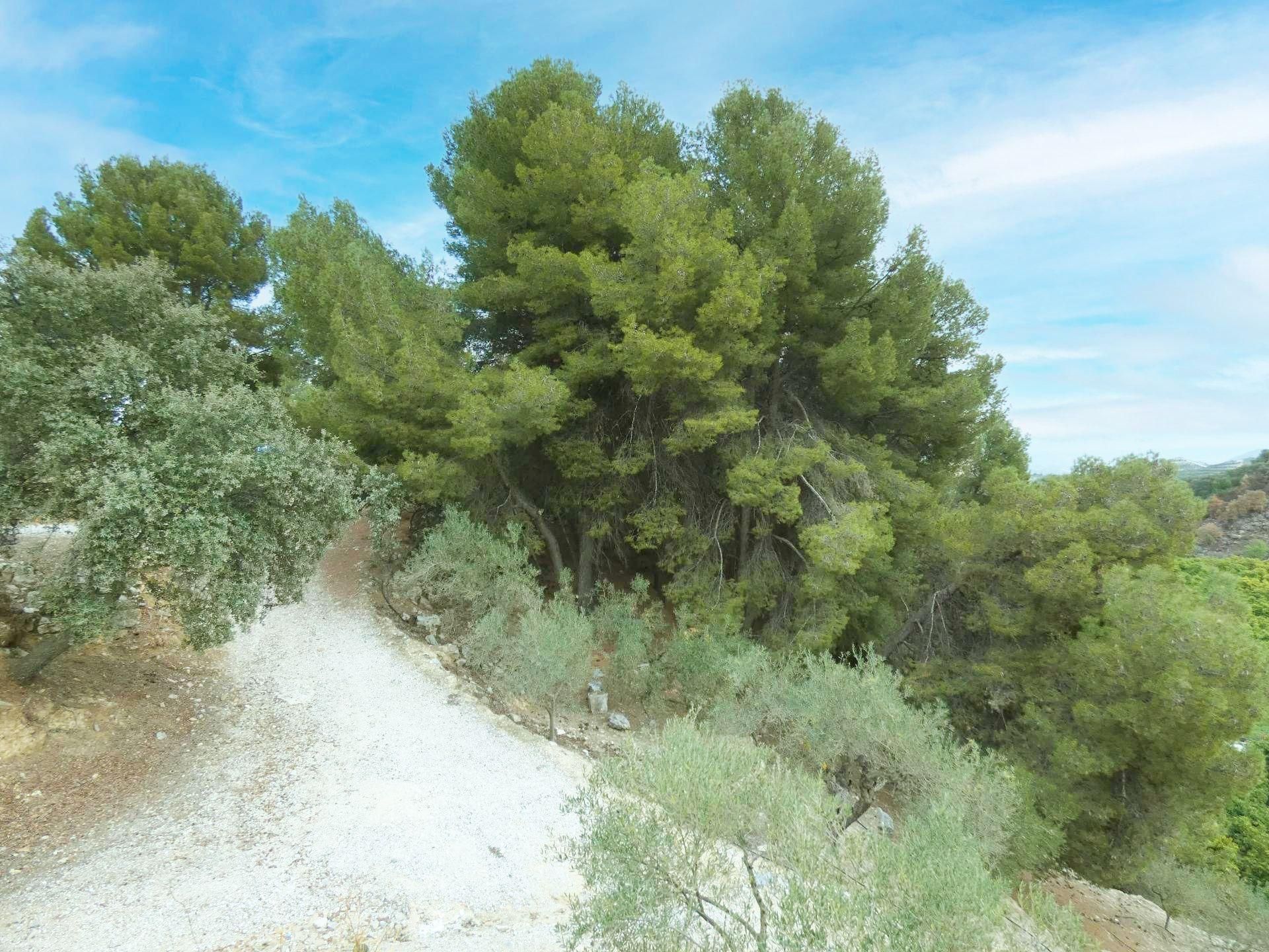 Huis in Coín, Andalusia 11408226