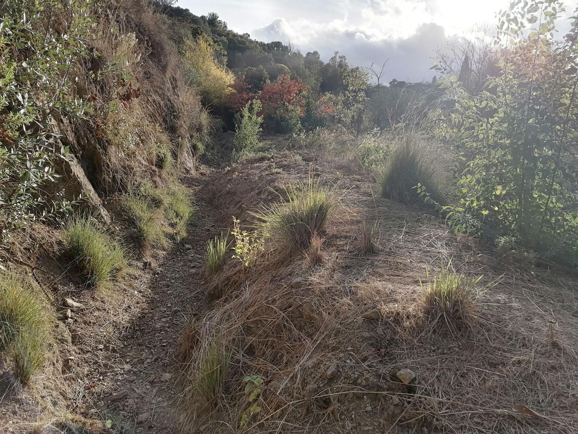 Land i Alhaurin el Grande, Andalusia 11409412