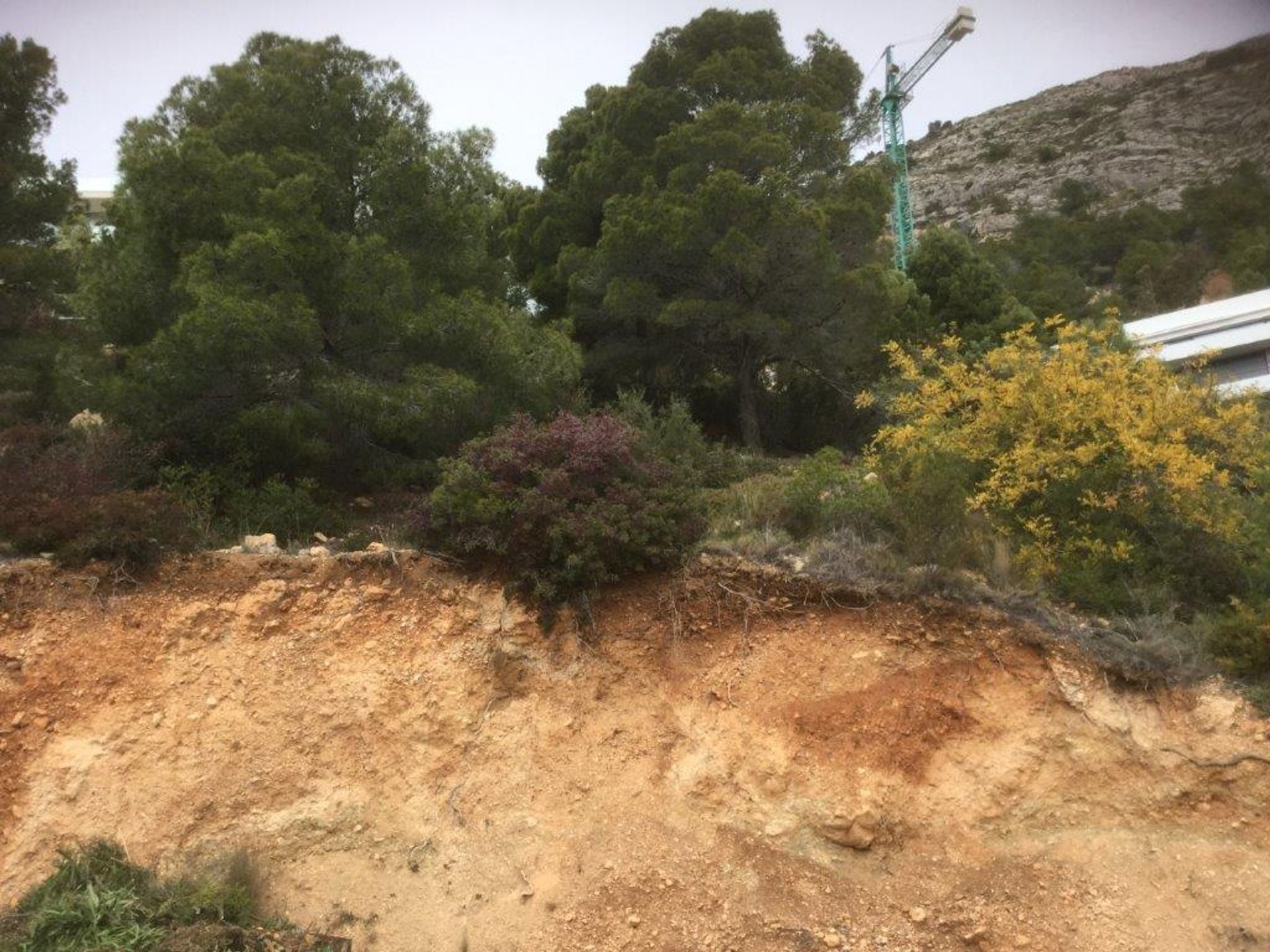 Land in Altea, Valencia 11409734