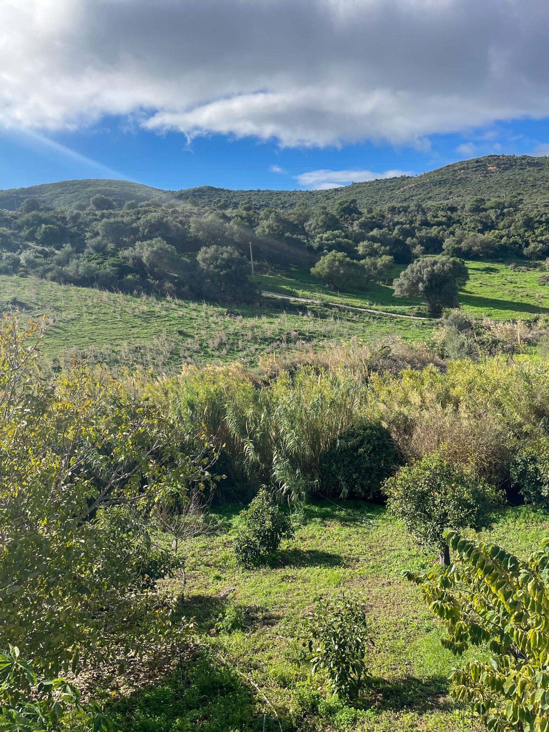 Hus i Estepona, Andalucía 11409759