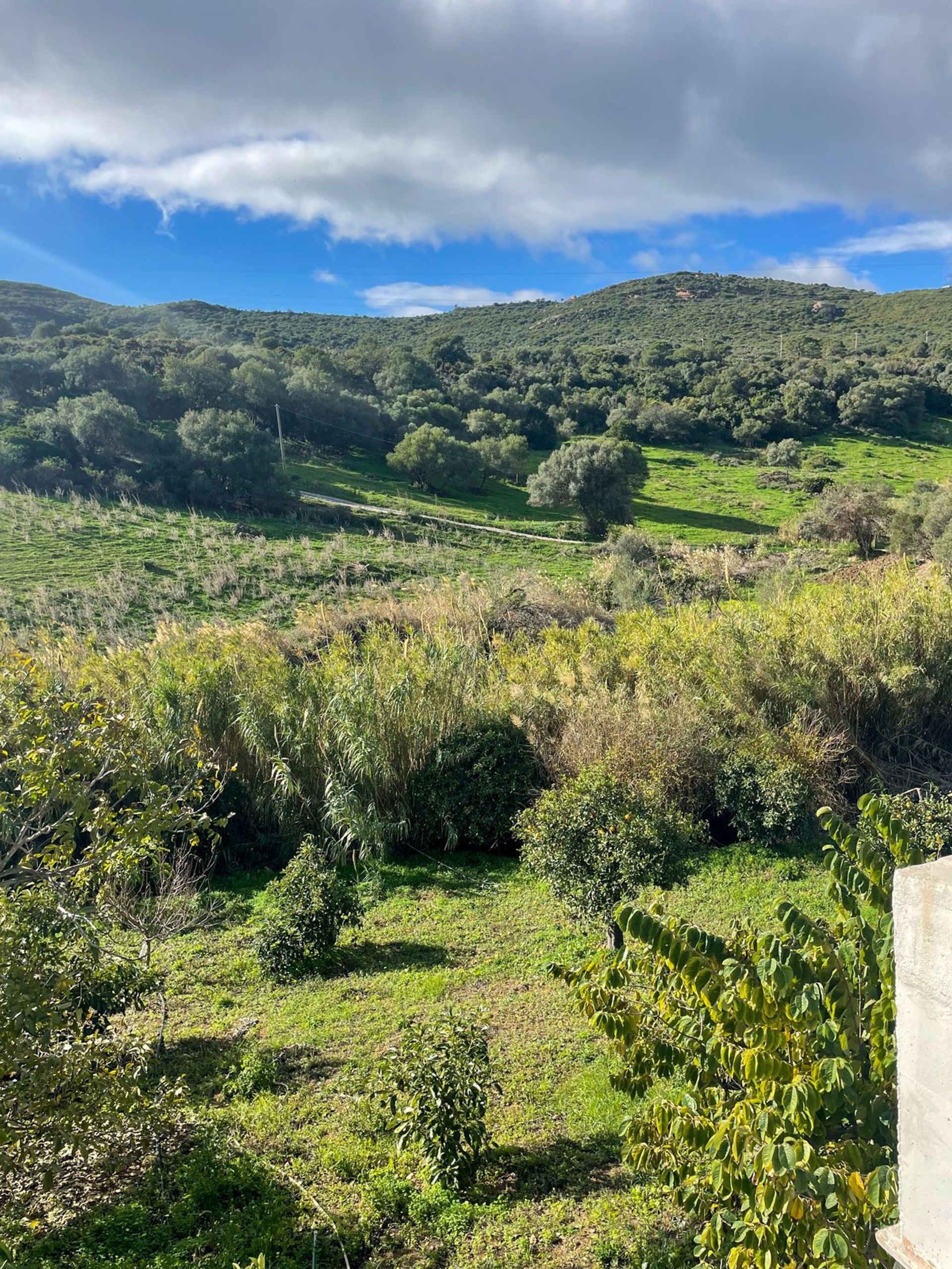 Hus i Estepona, Andalucía 11409759