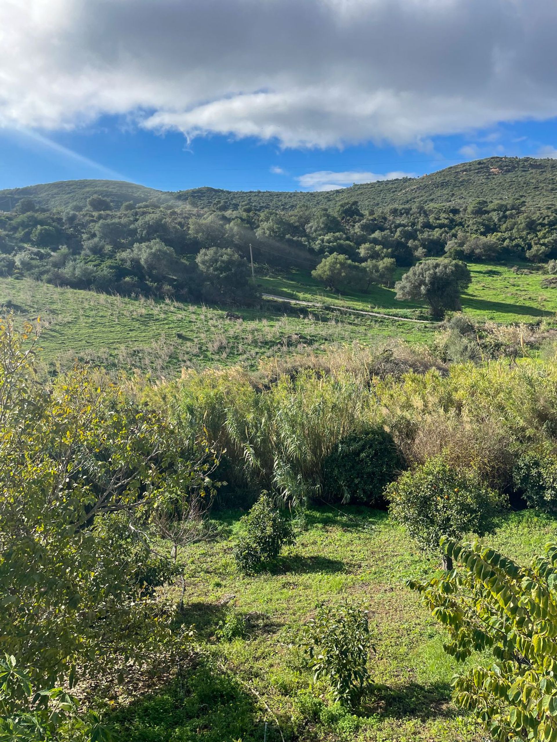 Hus i Estepona, Andalucía 11409759