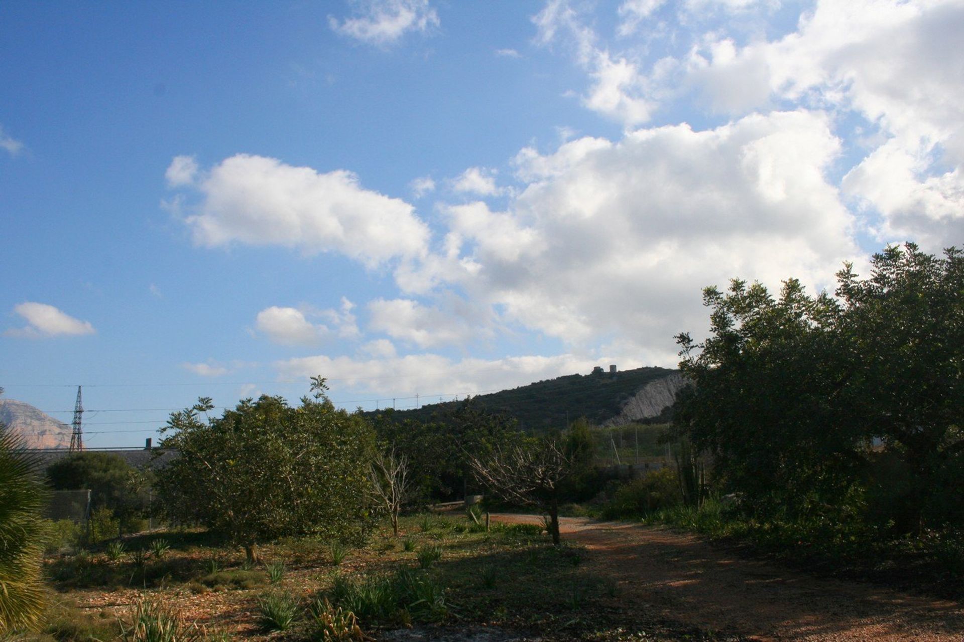 Land in Pedreguer, Comunidad Valenciana 11409903