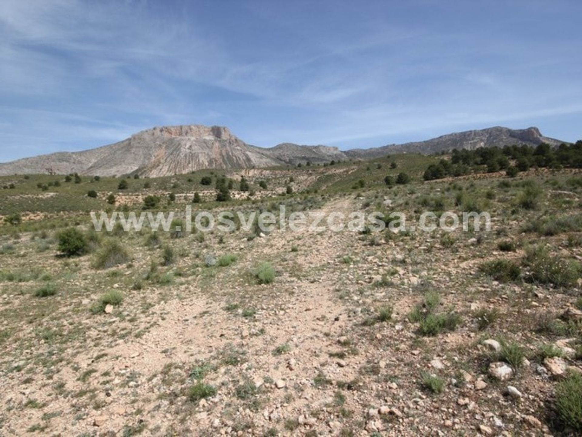 Terre dans María, Andalucía 11410250