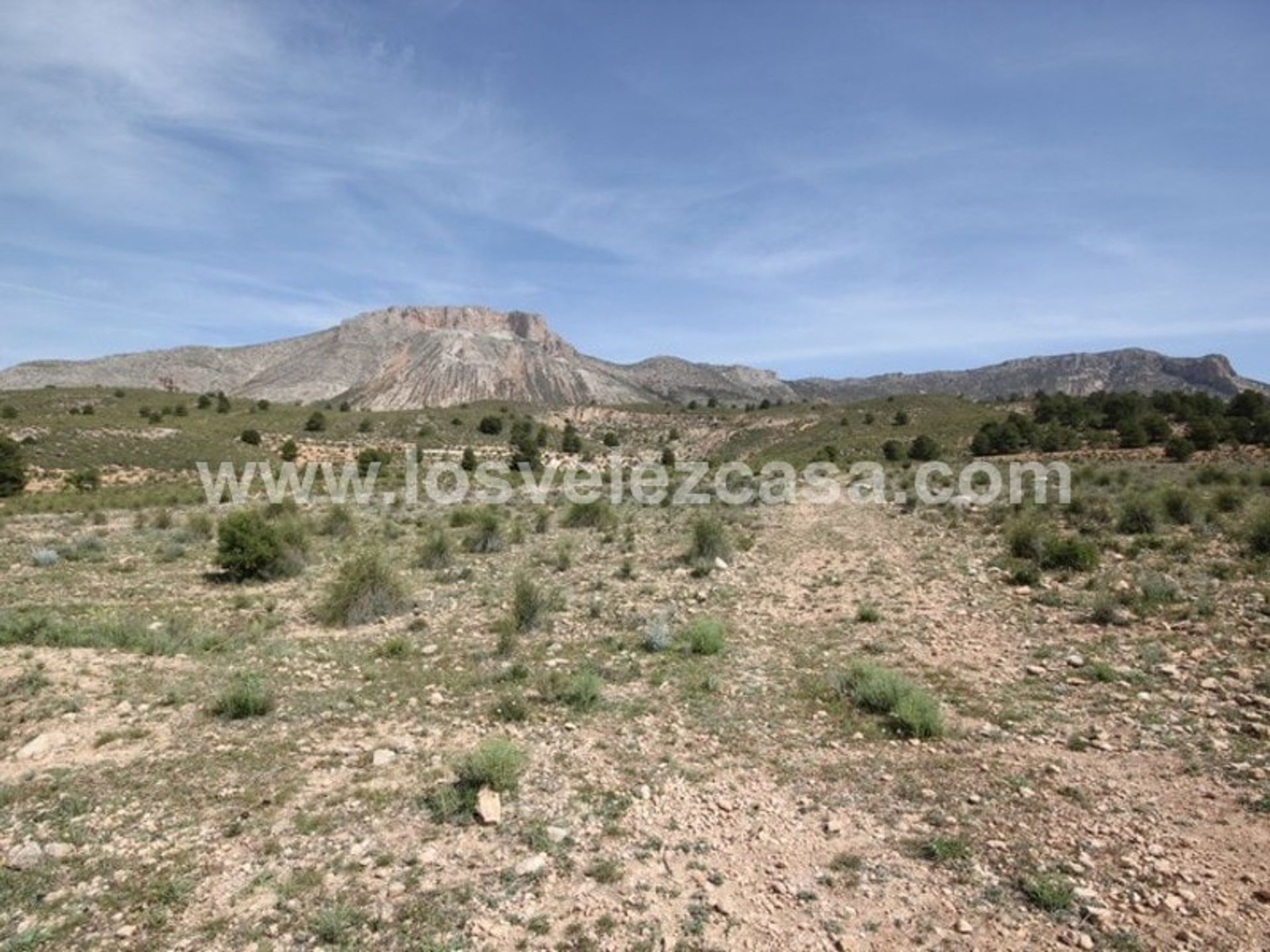 Tanah dalam María, Andalucía 11410250