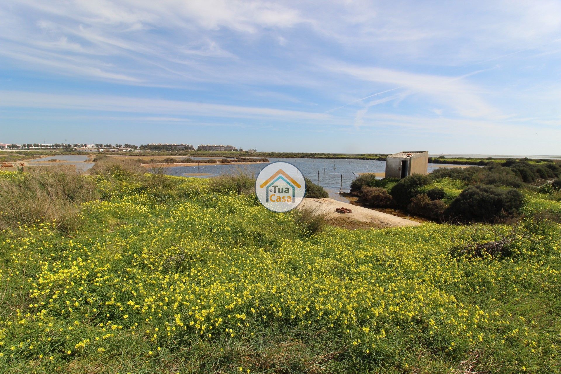 Land im Olhão, Faro District 11412191