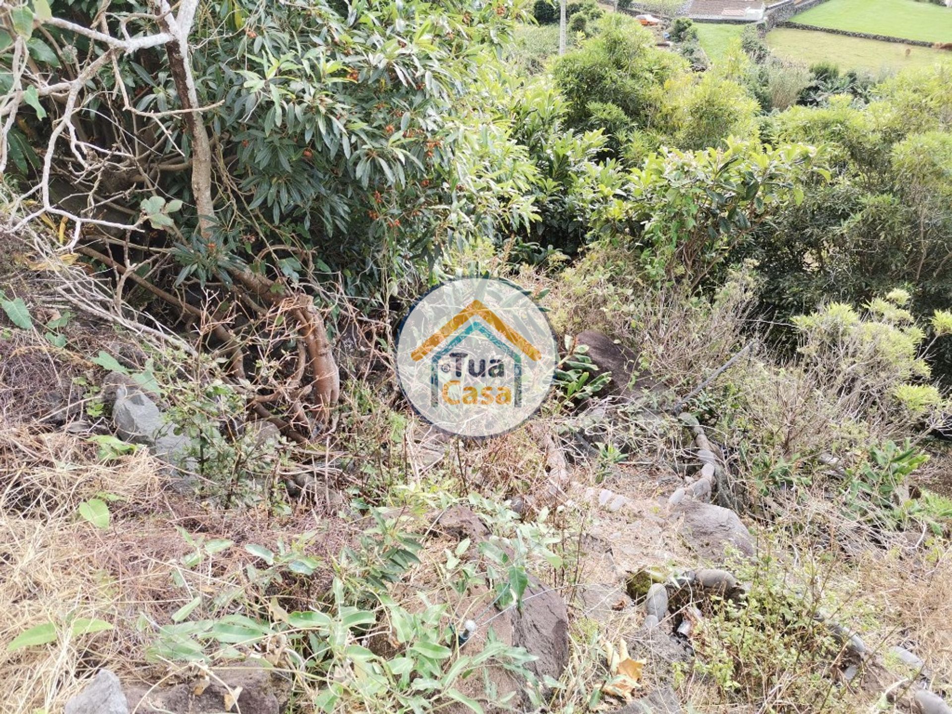 Tanah dalam , Azores 11412377