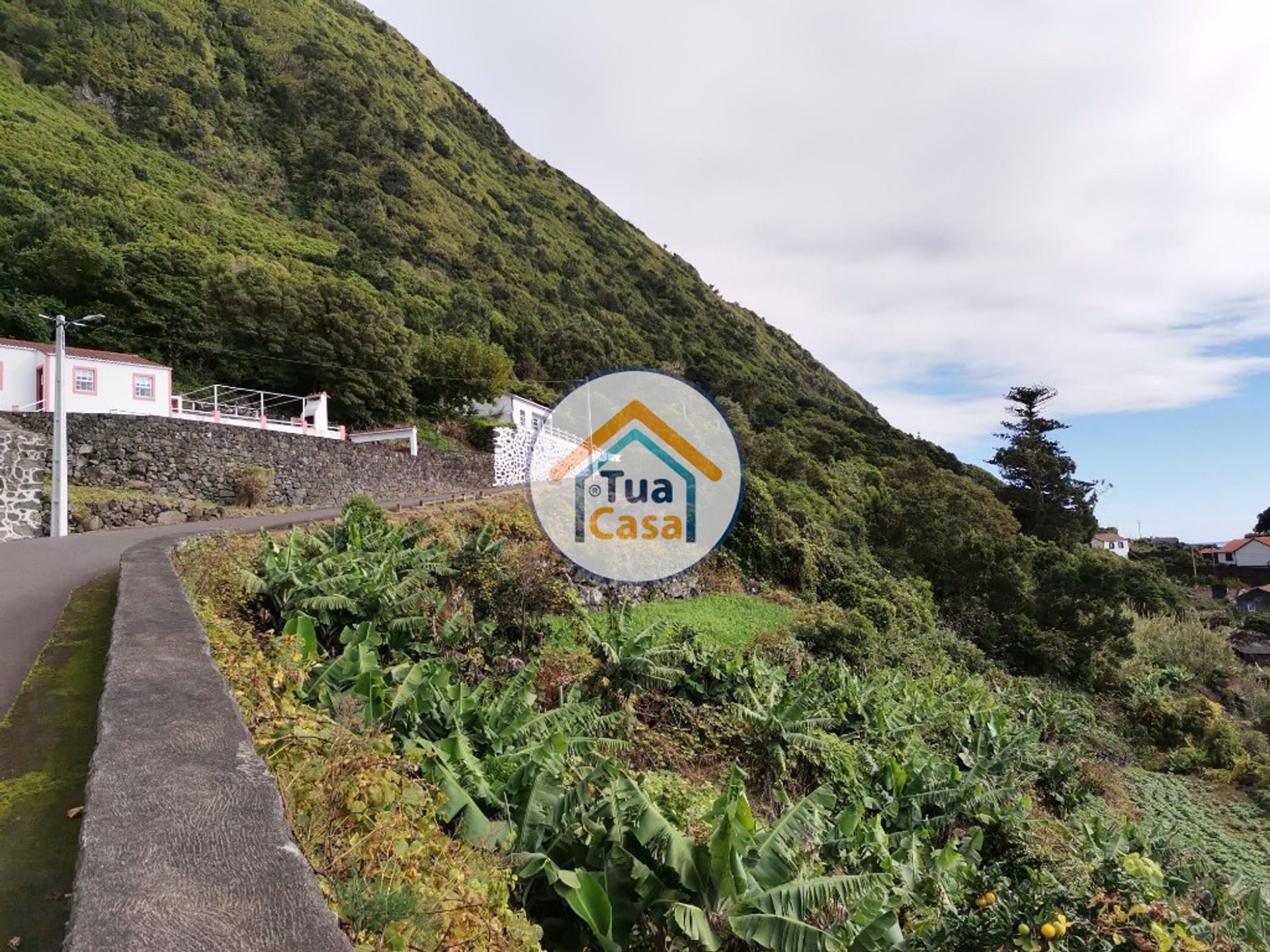 Terre dans , Azores 11412377