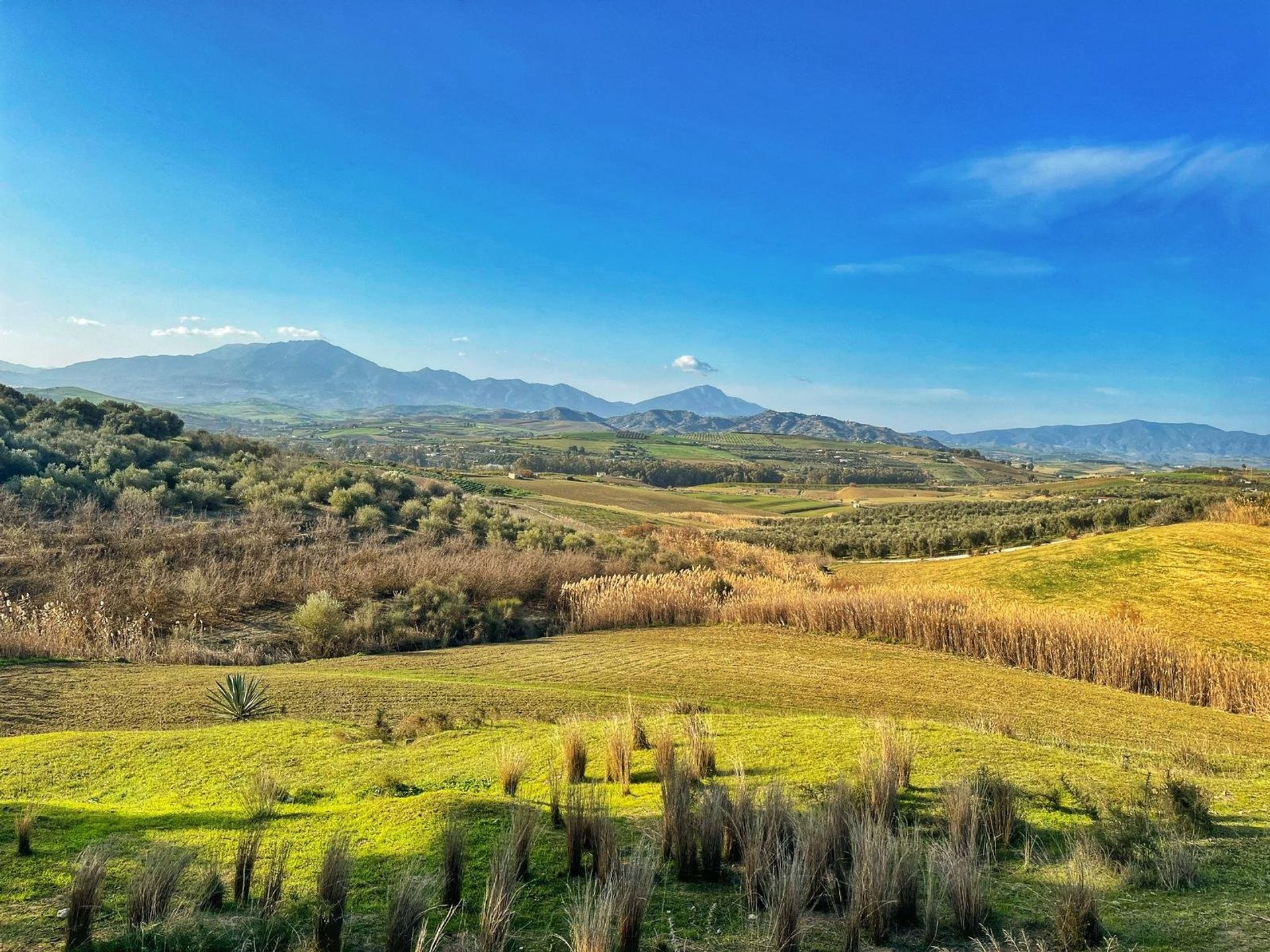 Land in Cártama, Málaga 11413895