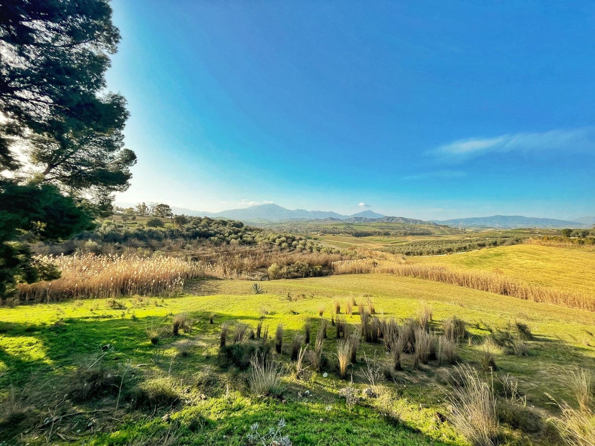 Terre dans Cártama, Málaga 11413895