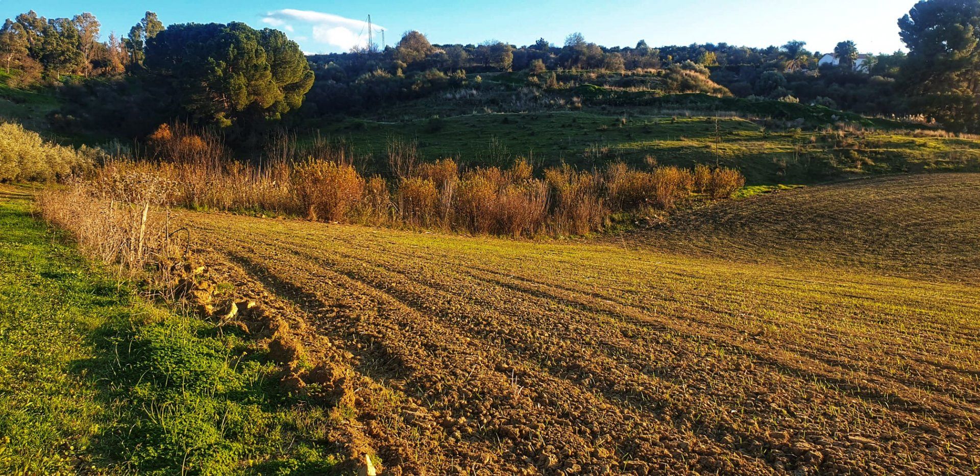 Land in Cártama, Málaga 11413895