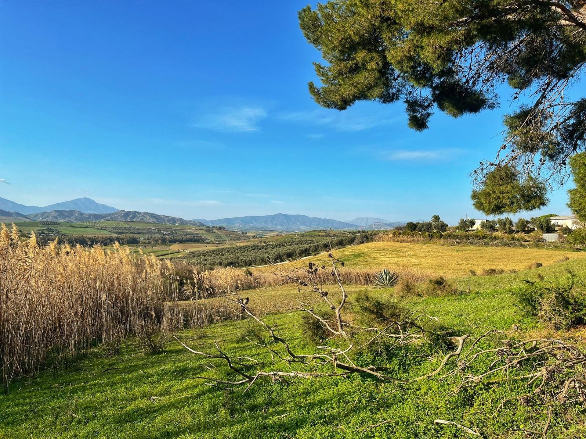 Land in Cártama, Málaga 11413895