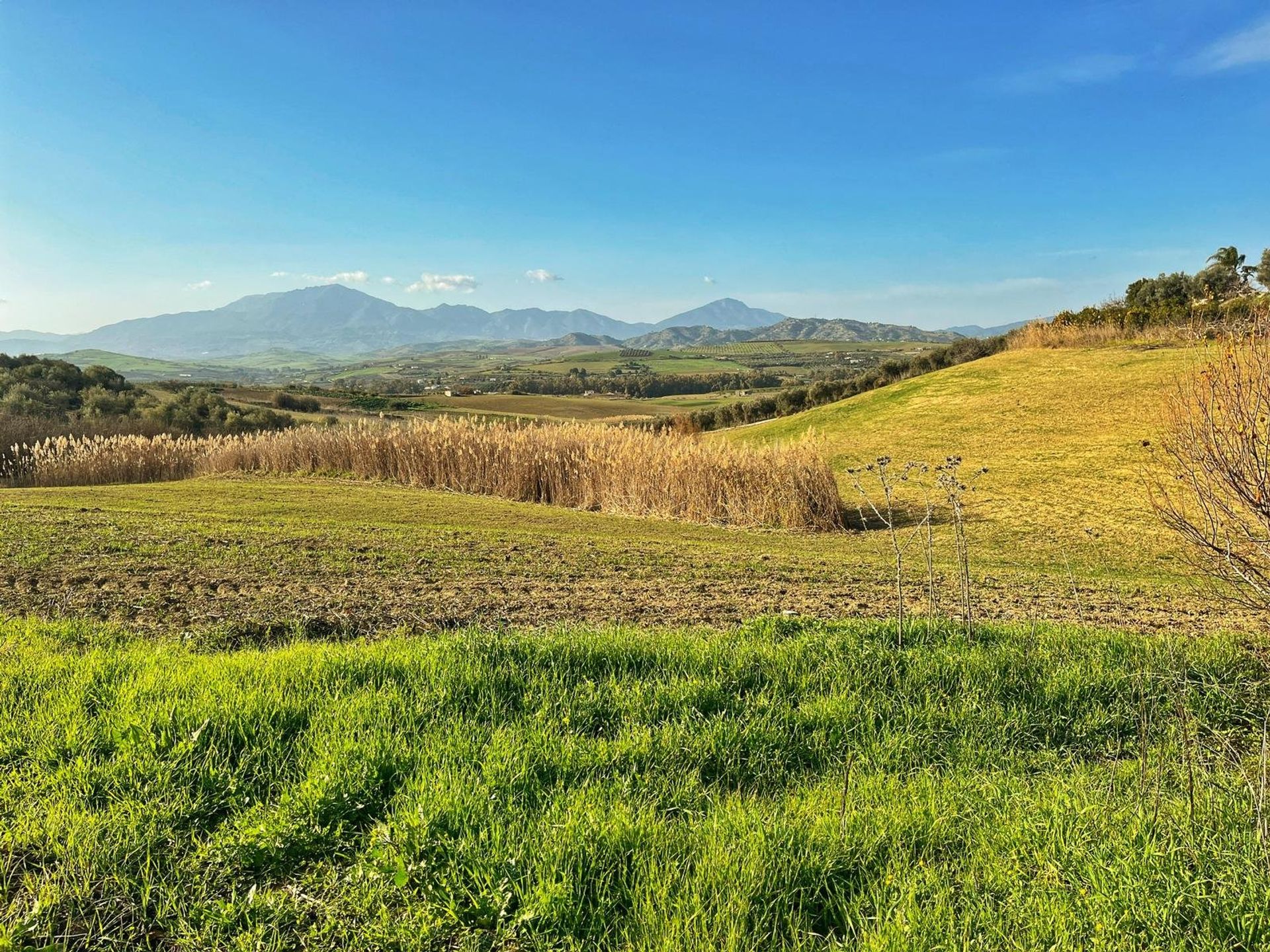 Land in Cártama, Málaga 11413895