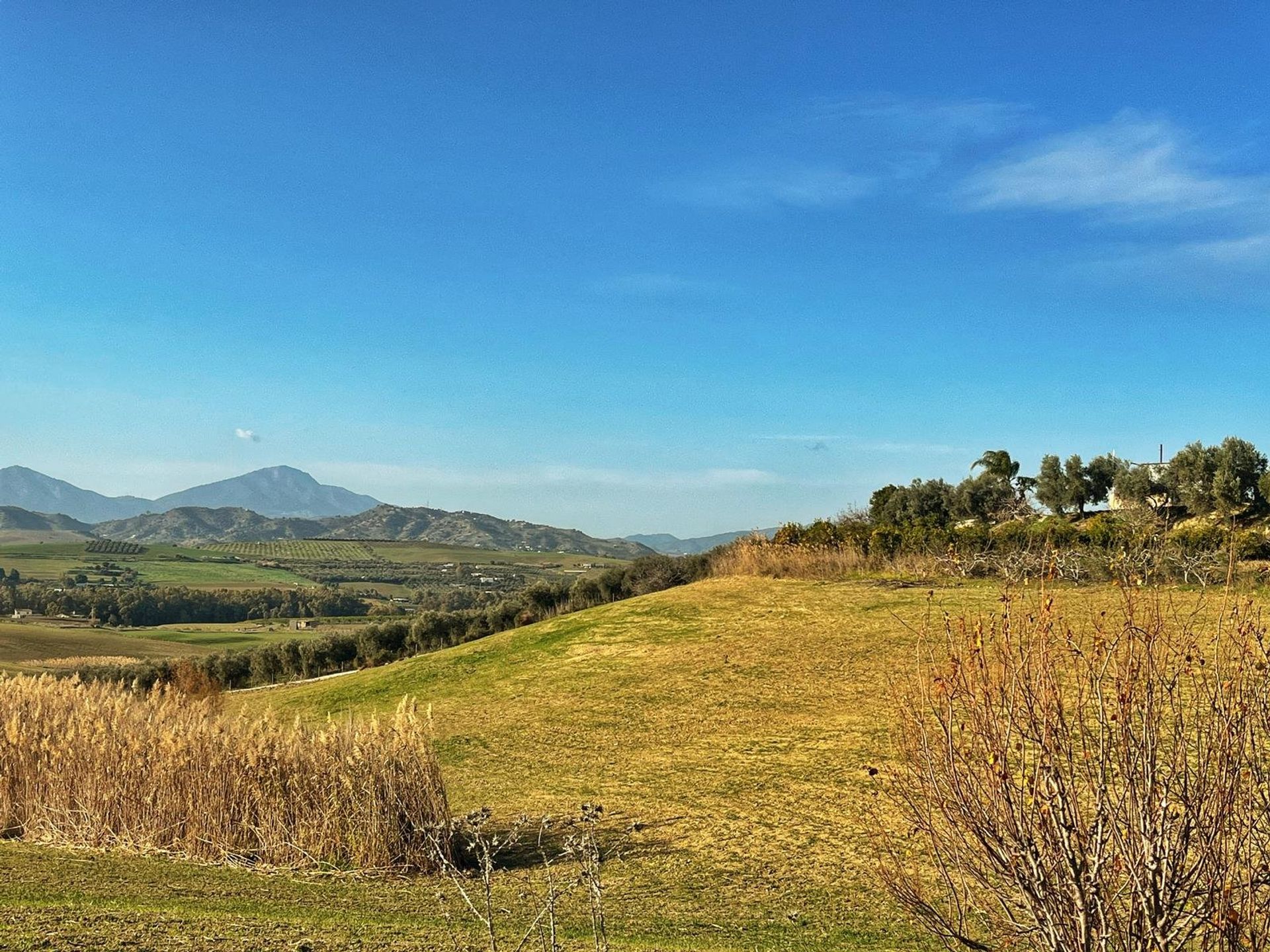 Land in Cártama, Málaga 11413895